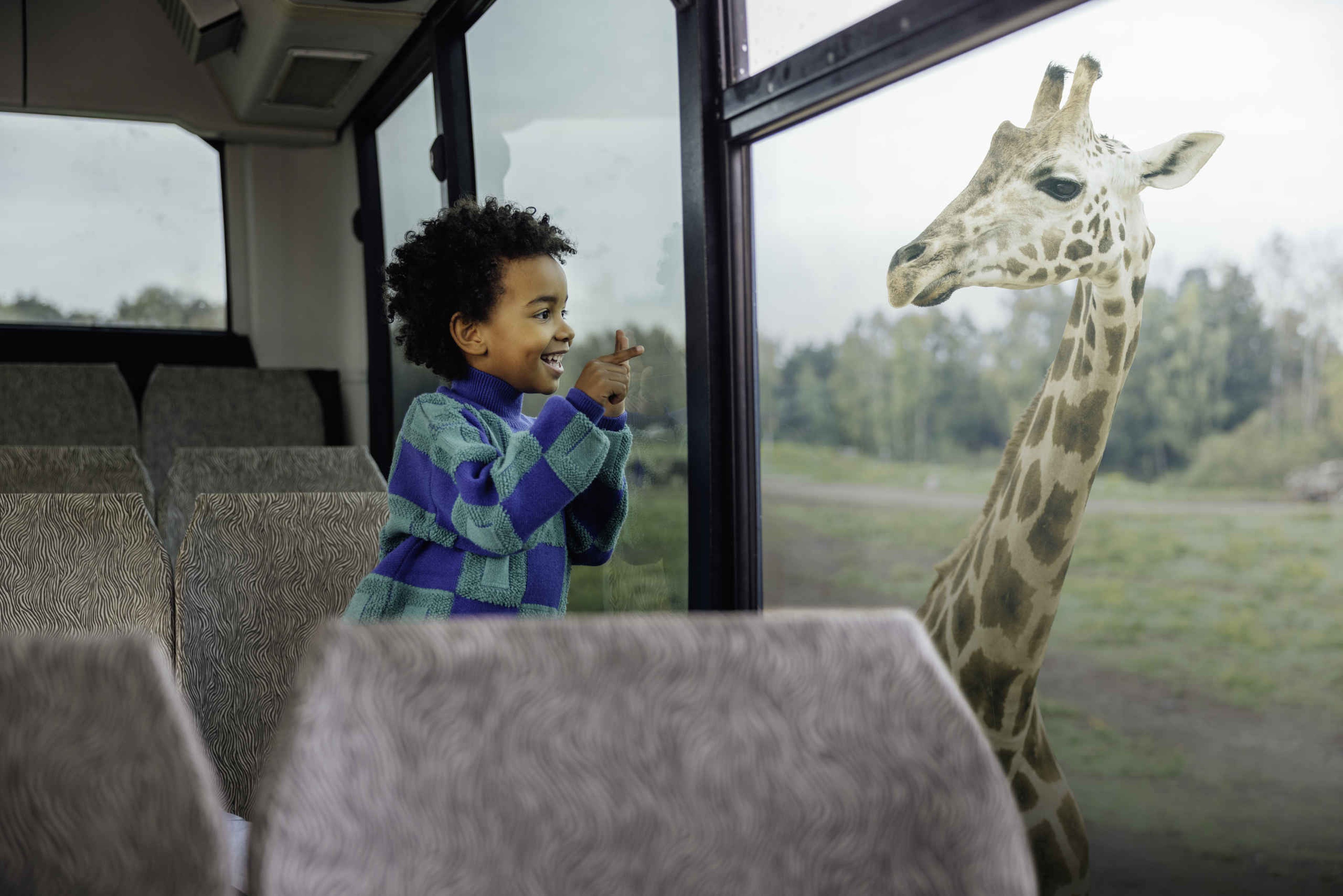 Jongen ziet giraf vanuit de bussafari in Safaripark Beekse Bergen