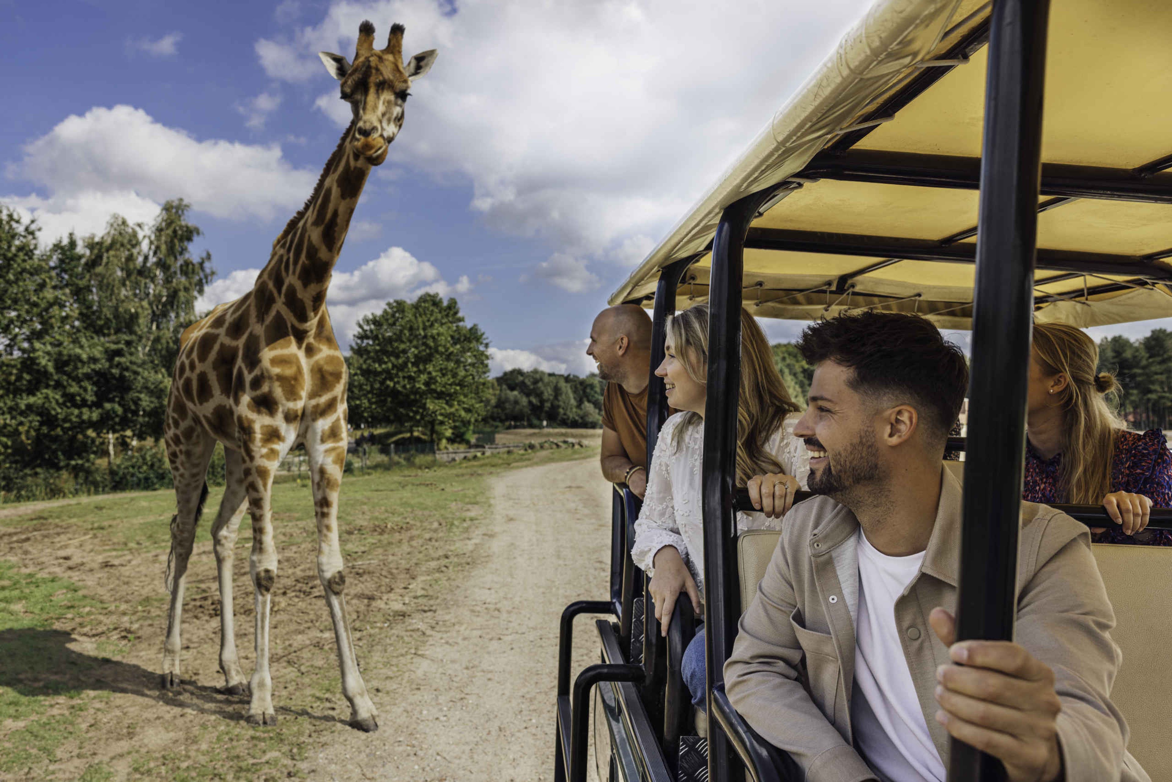 Bezoekers zien een giraffe vanuit de gamedrive in Safaripark Beekse Bergen