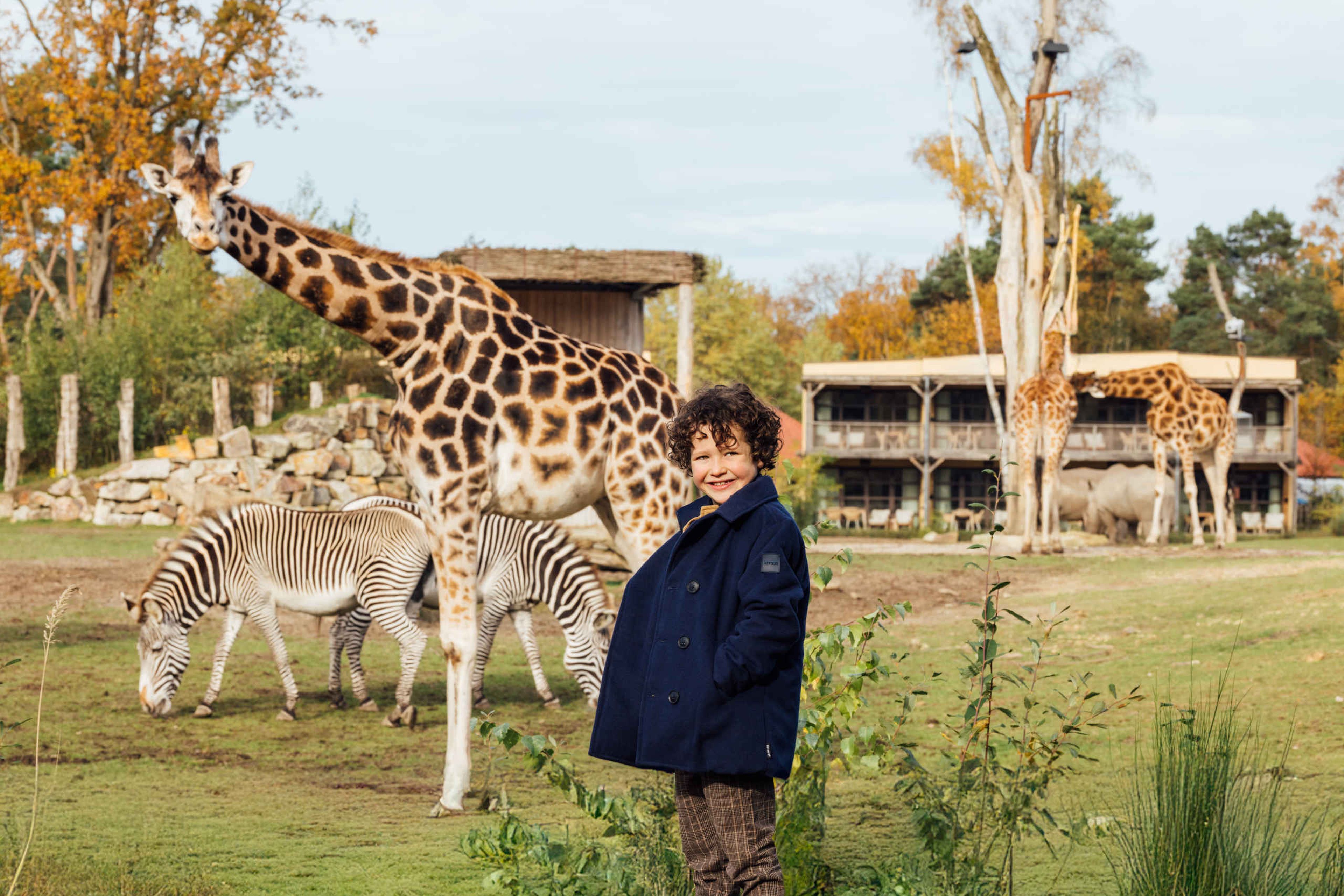 Een jongen kijkt naar de giraffen en zebra's op de savanne bij het Safari Hotel Beekse Bergen.