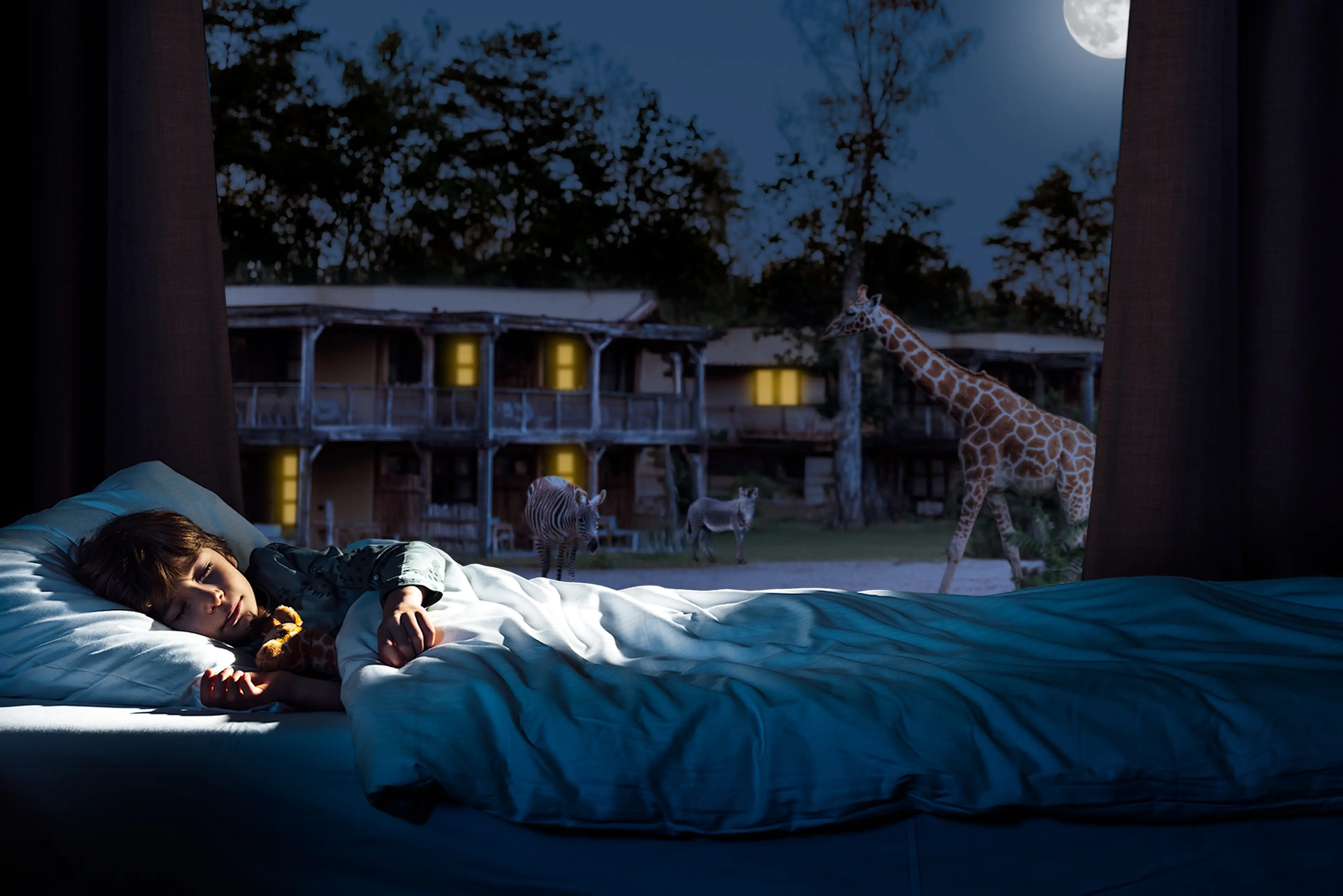 Een jongen valt in slaap in een Savanne Room met uitzicht op een savanne met giraffen, zebra's en neushoorns bij Safari Hotel Beekse Bergen.