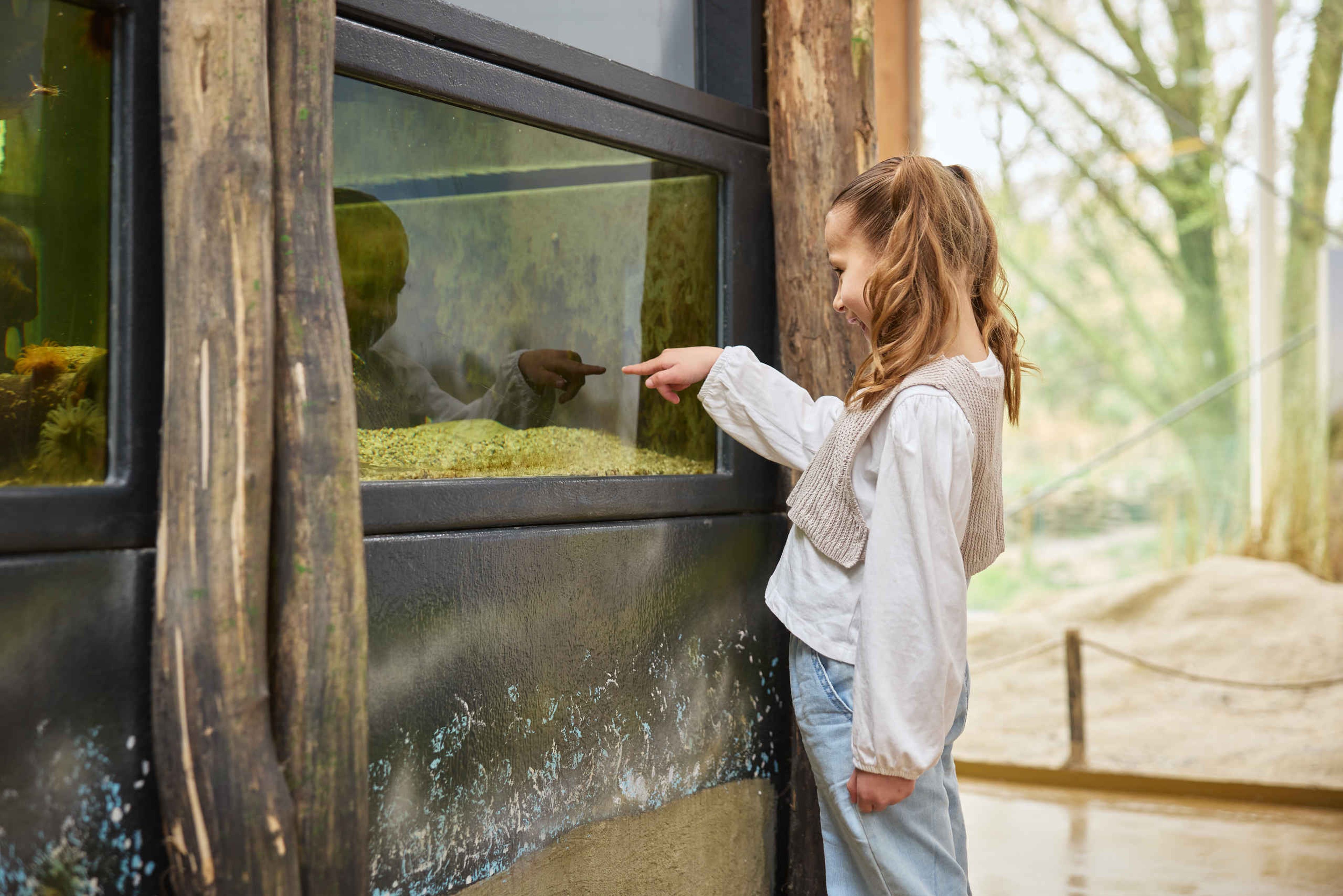 Een meisje voor het aquarium in het waddengebied in AquaZoo Leeuwarden