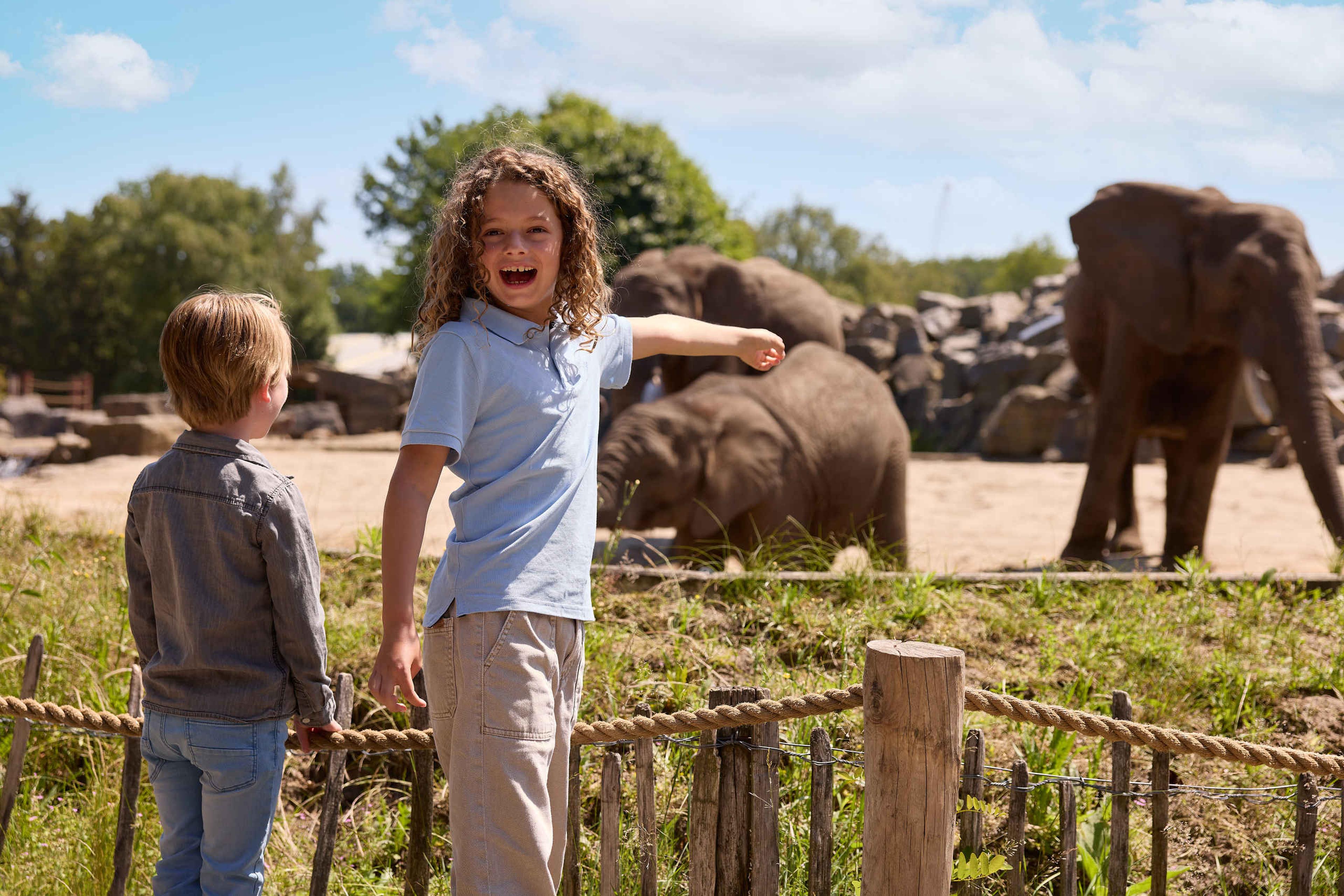 Wandelsafari kinderen jongen wijst naar olifanten Safaripark Beekse Bergen