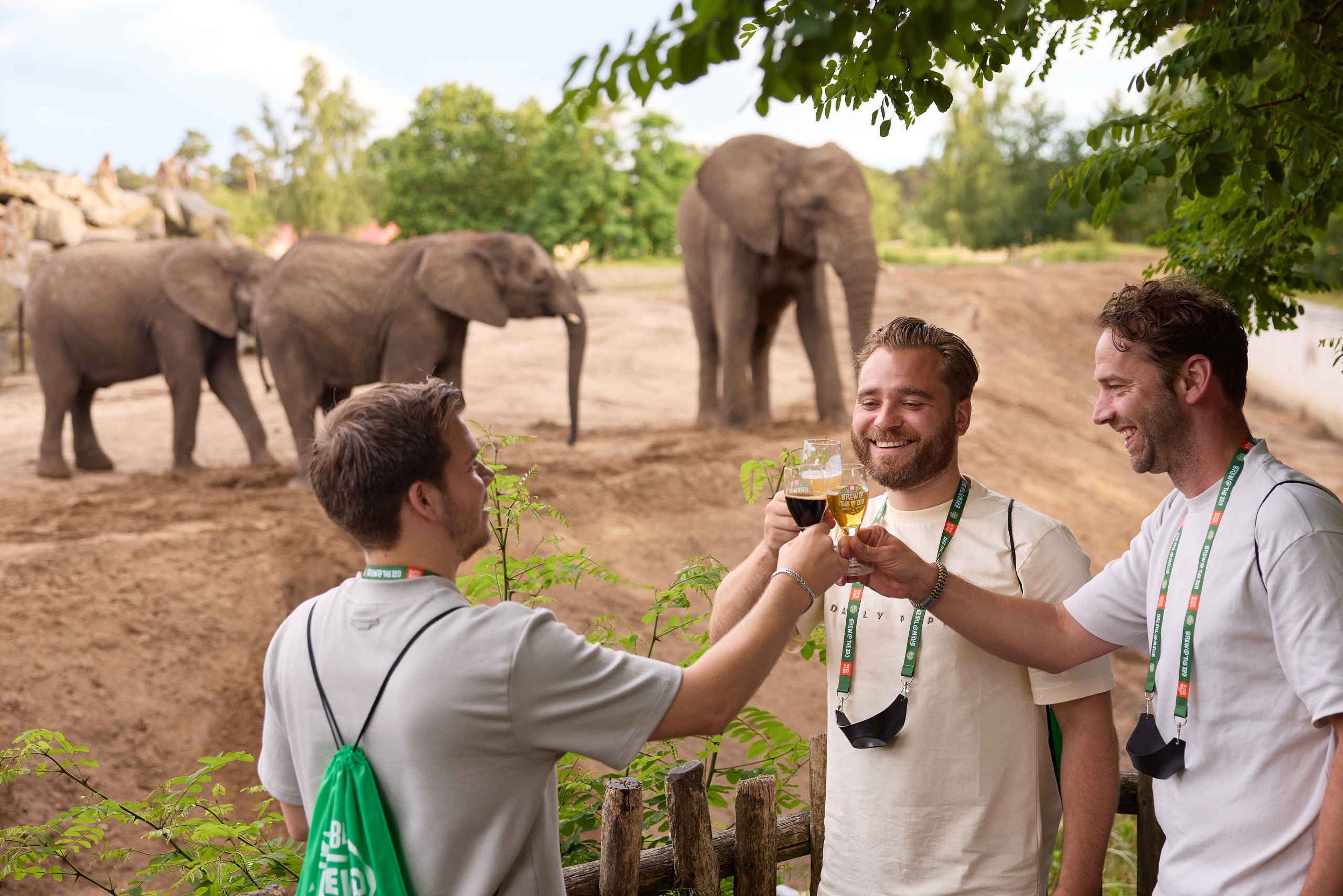 Bierfestival Brew@theZoo mannen die proosten bij de olifanten in Safaripark Beekse Bergen