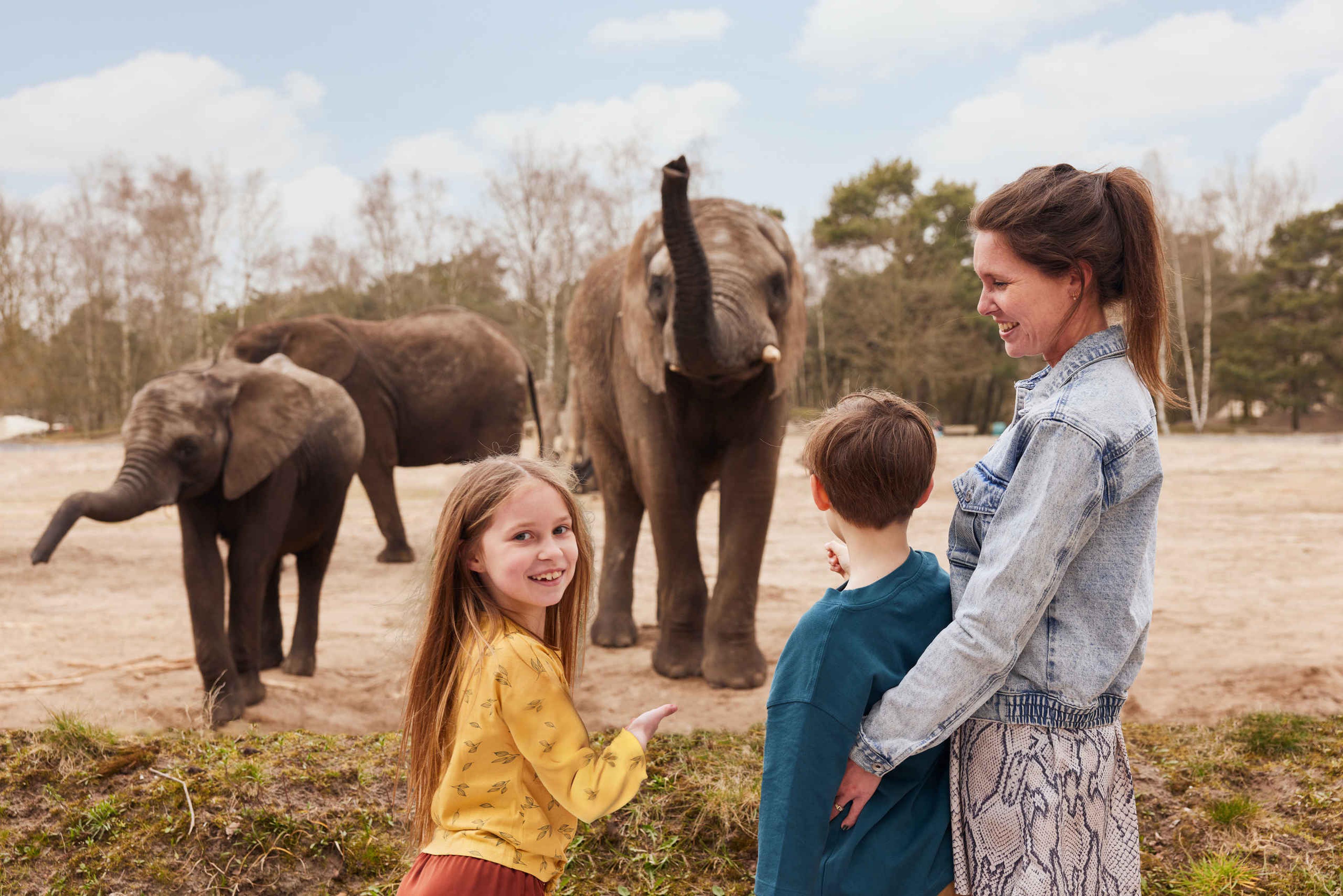 Olifanten gezin moeder kinderen wandelsafari in Safaripark Beekse Bergen