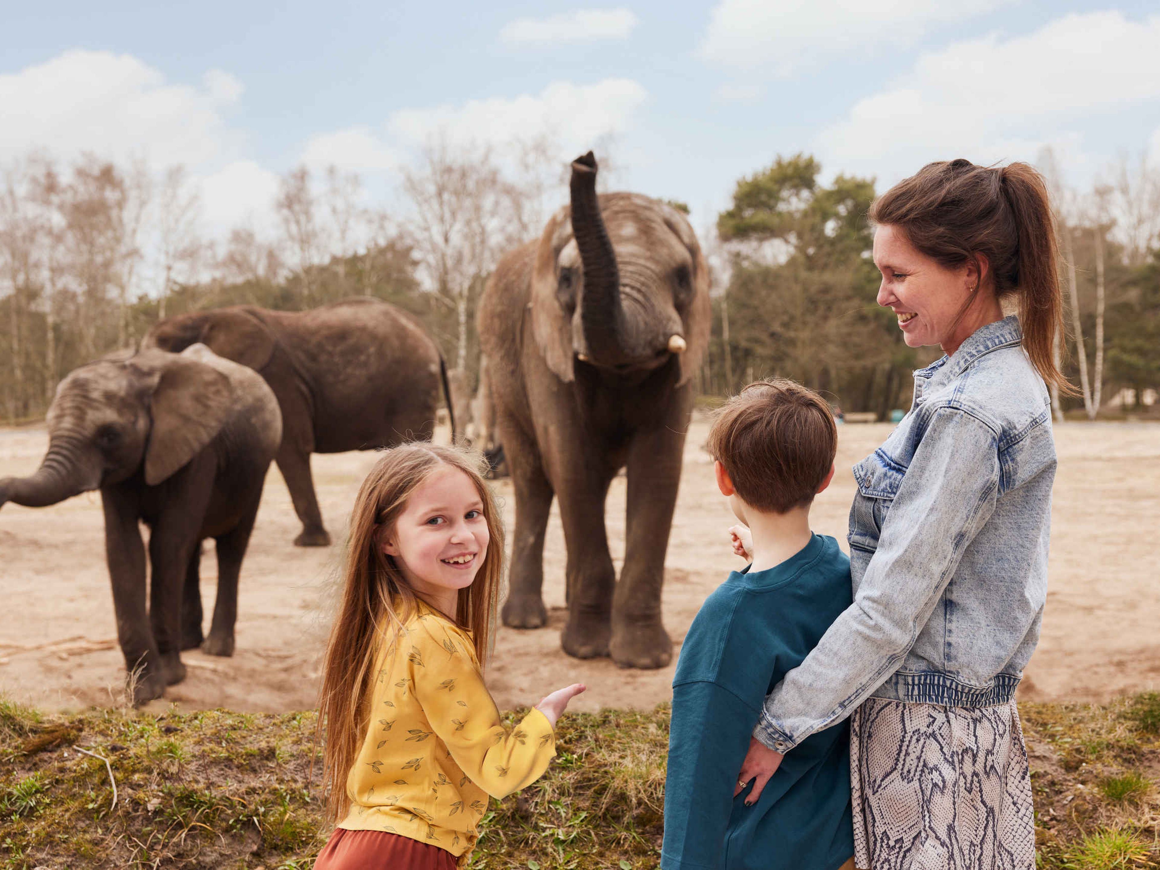 Olifanten gezin moeder kinderen wandelsafari in Safaripark Beekse Bergen