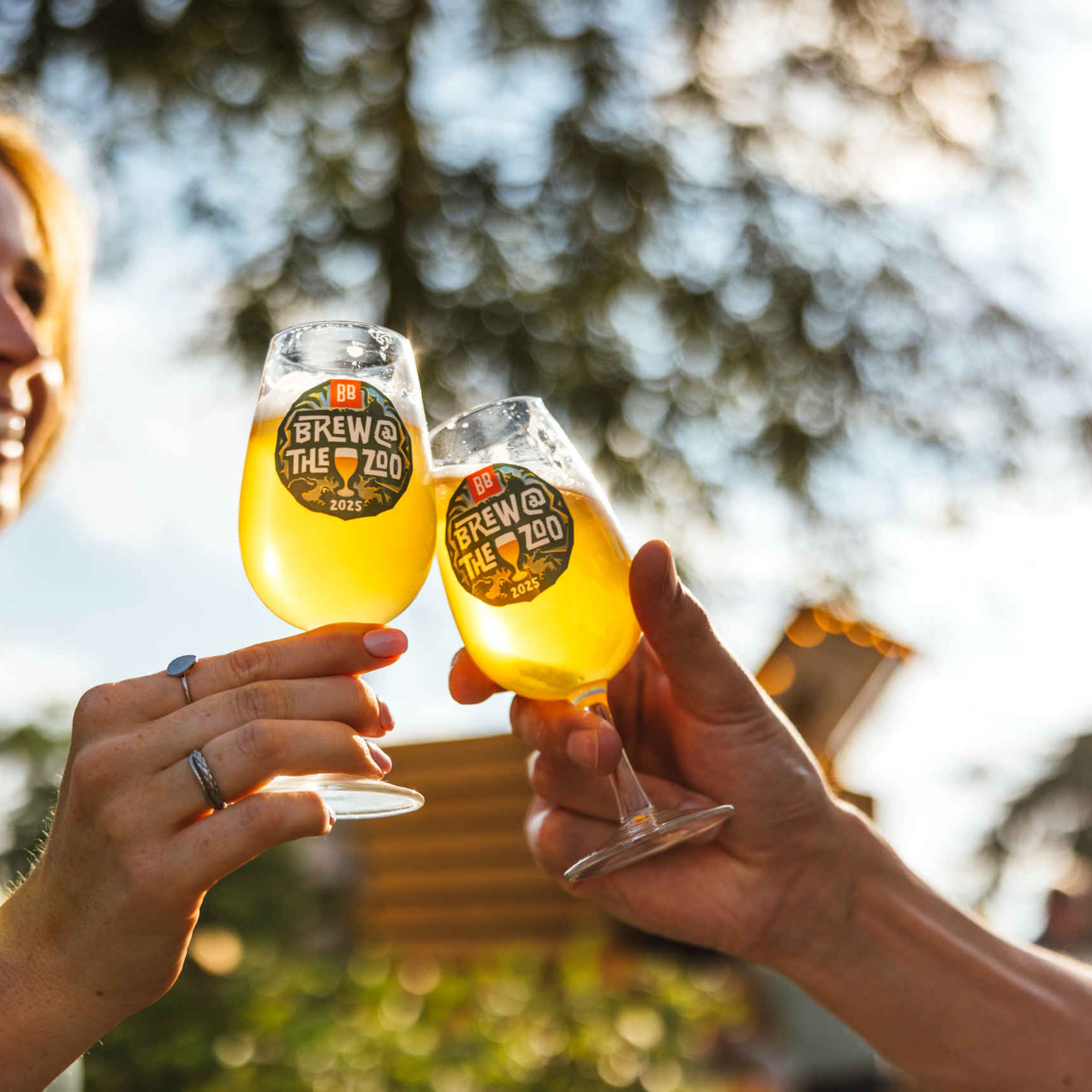 Proosten met bier door vrouw en man B@TZ in Safaripark Beekse Bergen