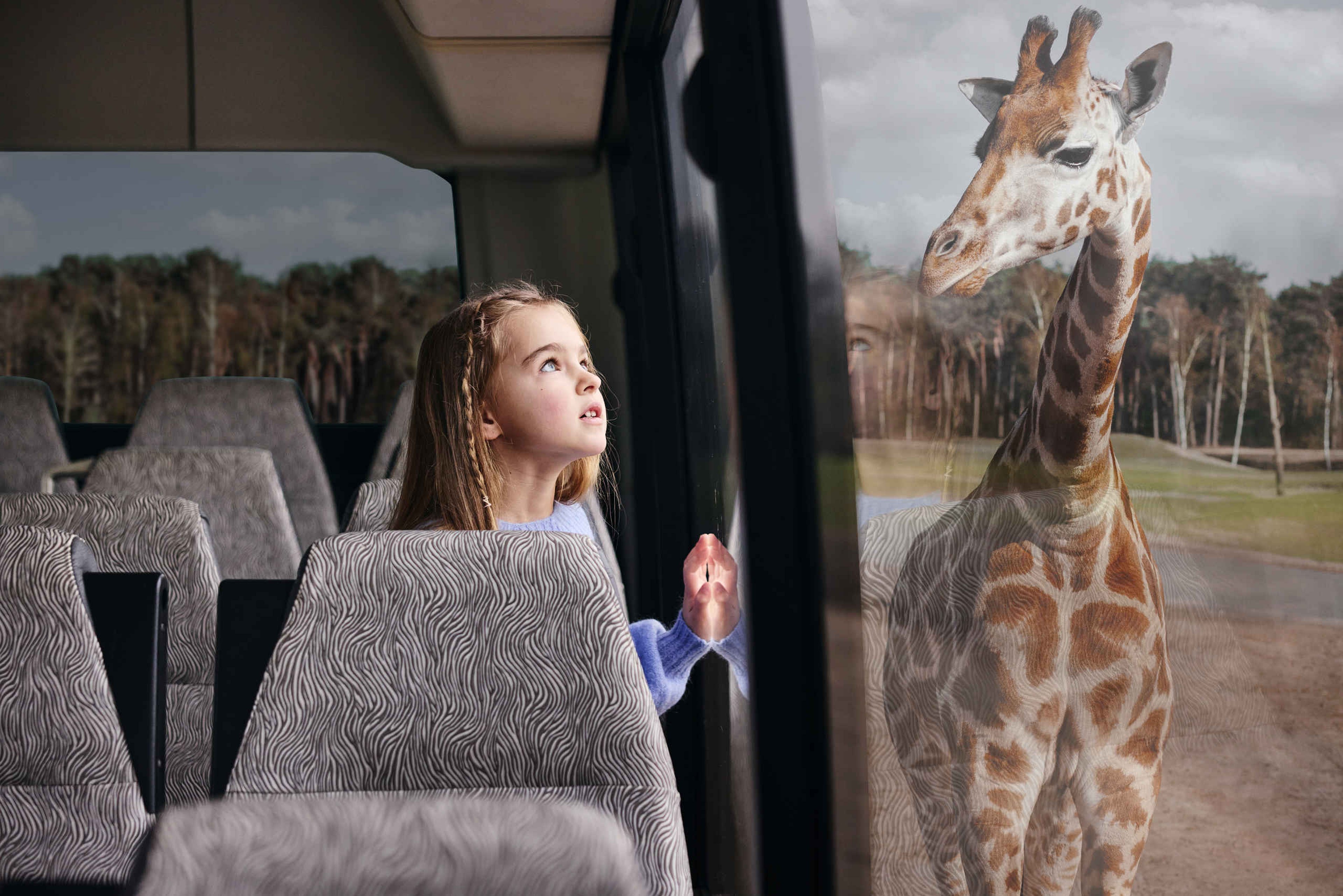 Giraffe meisje bussafari in Safaripark Beekse Bergen