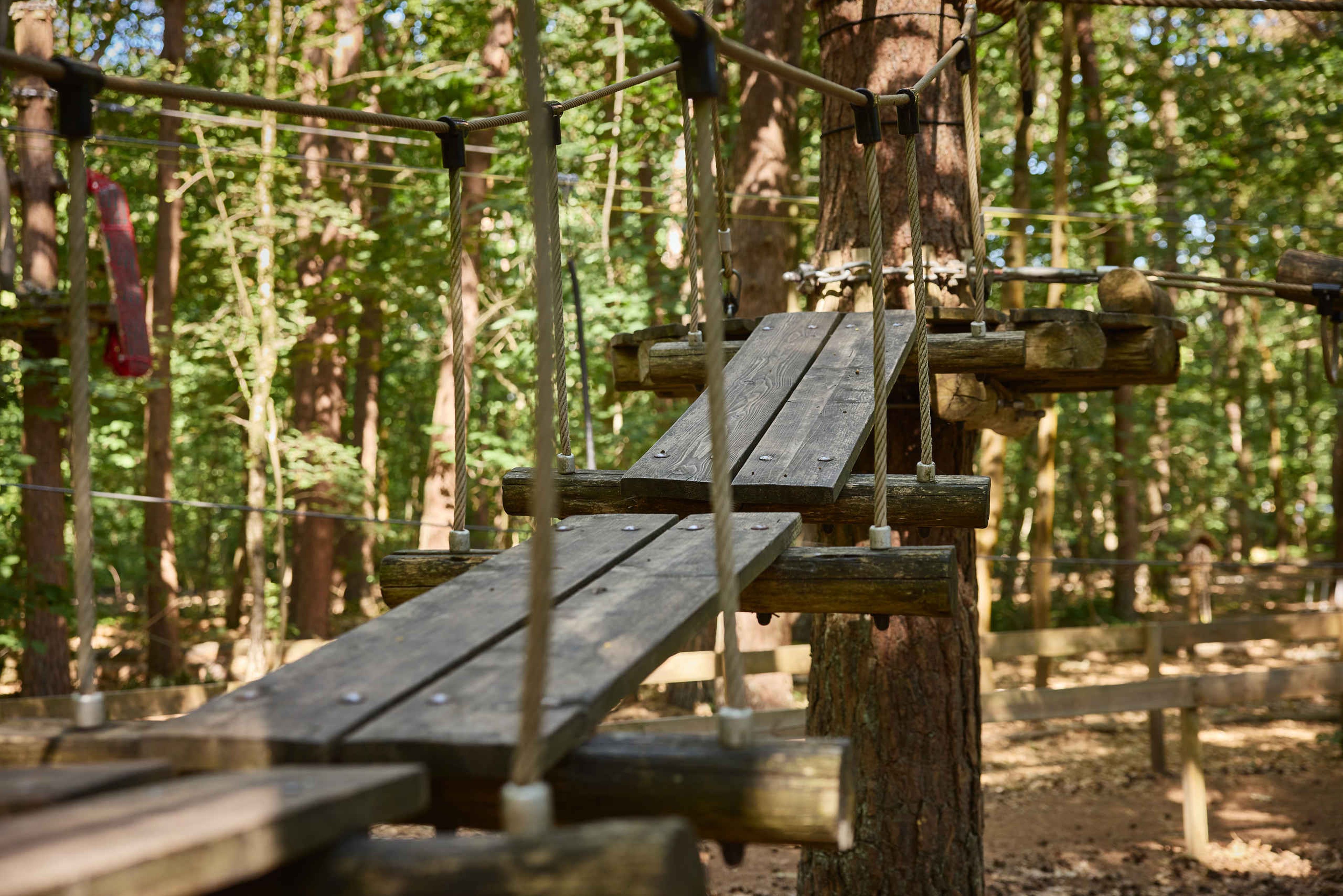 Een brug met lange plateaus op route 8 van het Pico Parcours bij Klimrijk Brabant