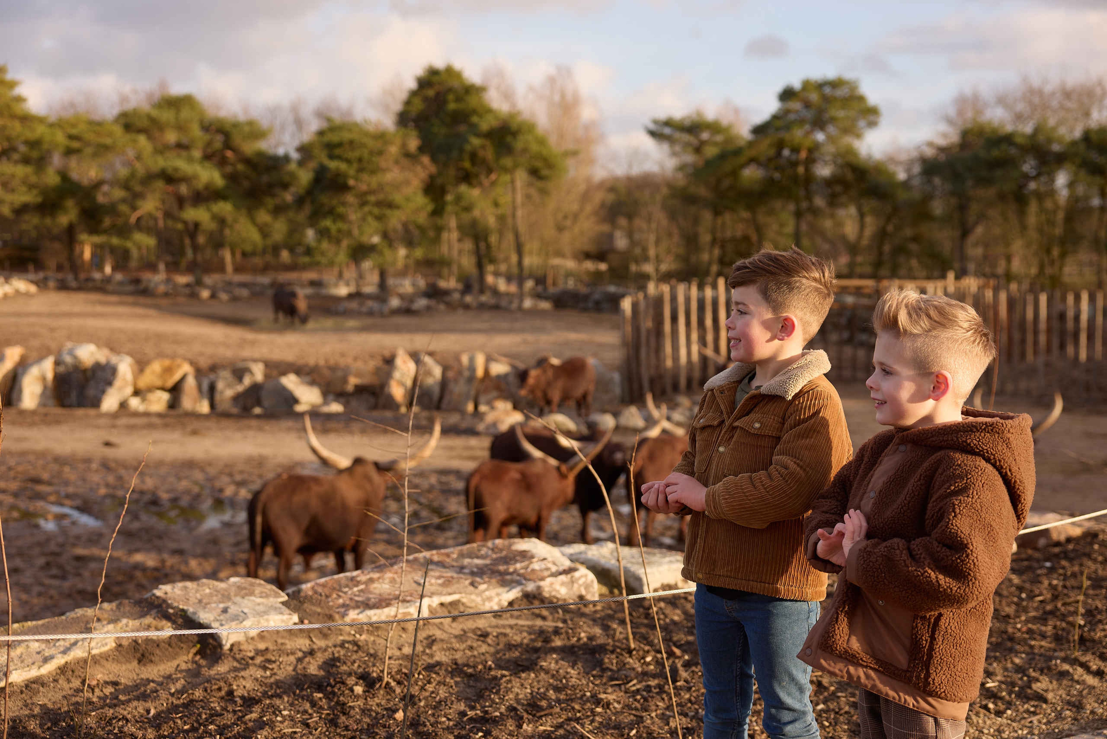 Winter jongens bij de breedlipneushoorn en de watisirund bij Safaripark Beekse Bergen