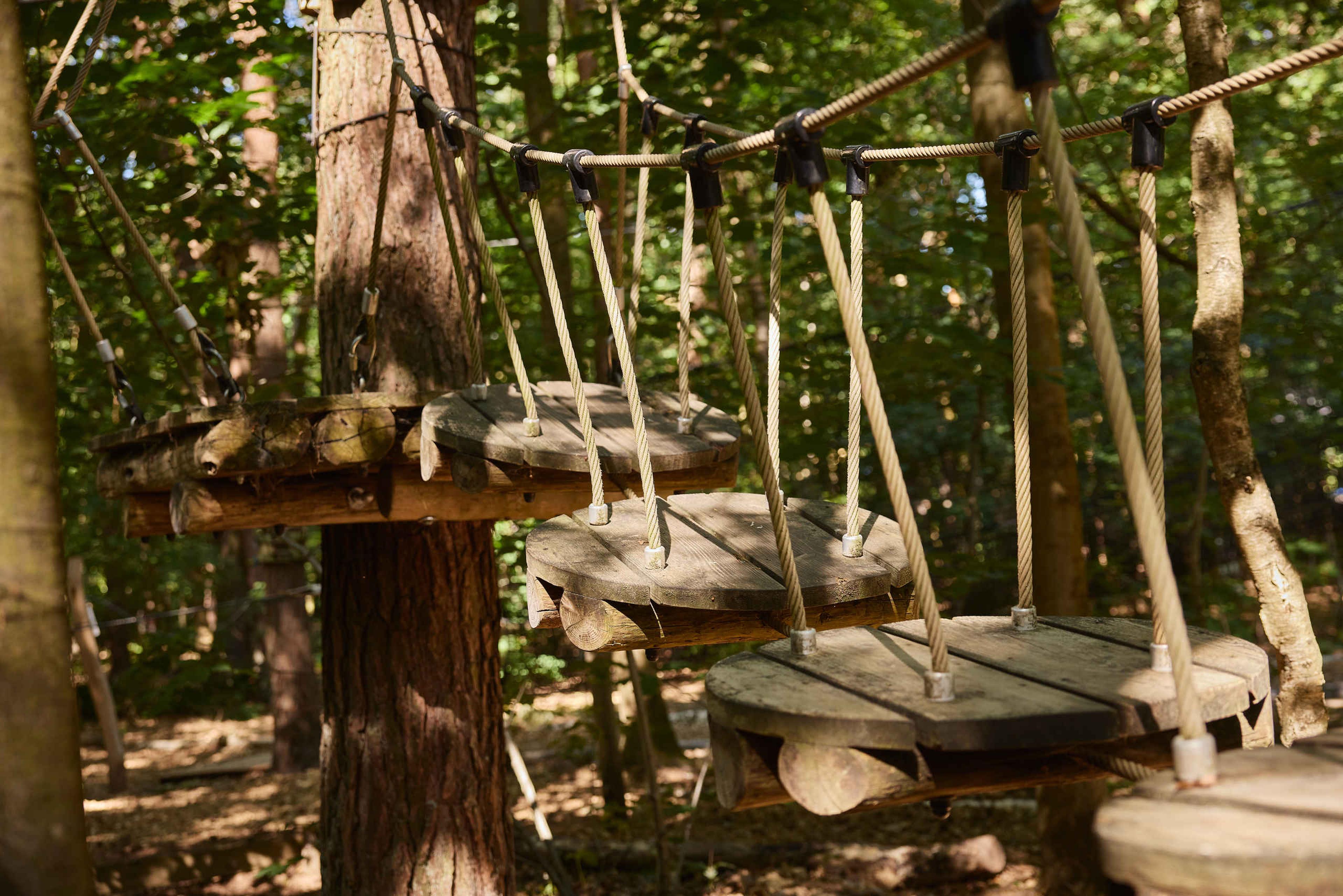 Een plateaubrug op route 6 van het Pico Parcours bij Klimrijk Brabant