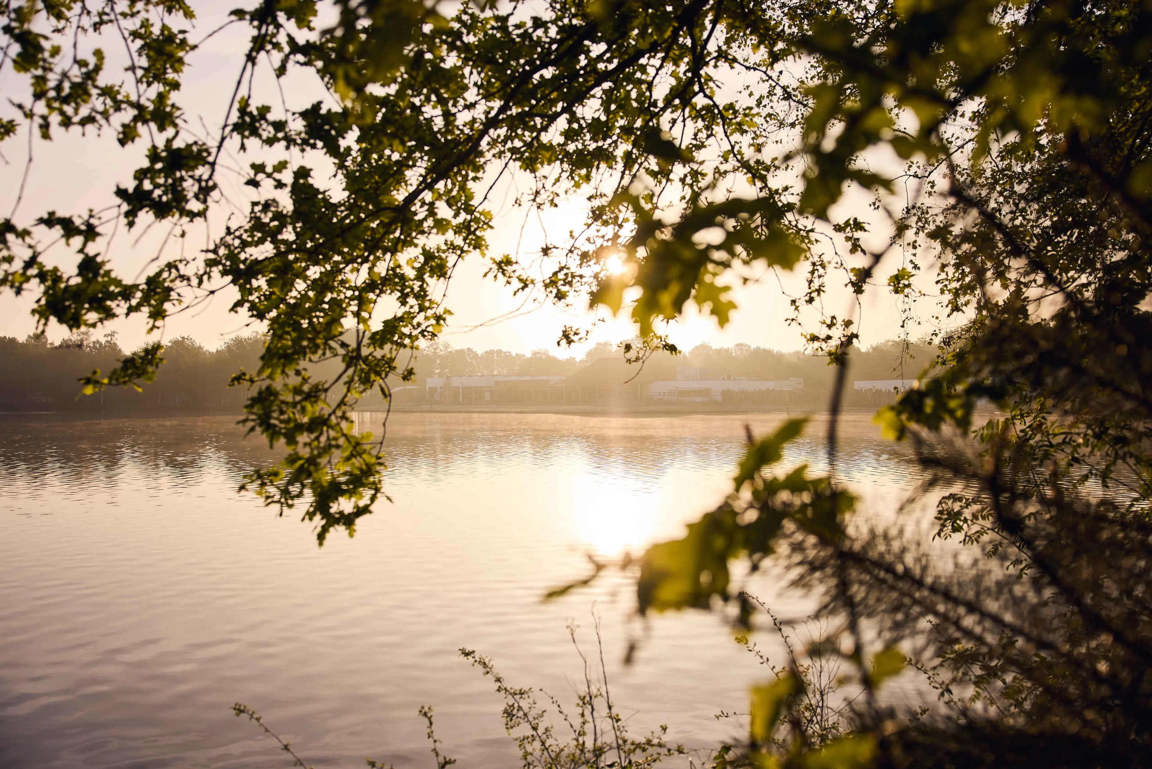 Uitzicht over het meer bij Lake Resort Beekse Bergen