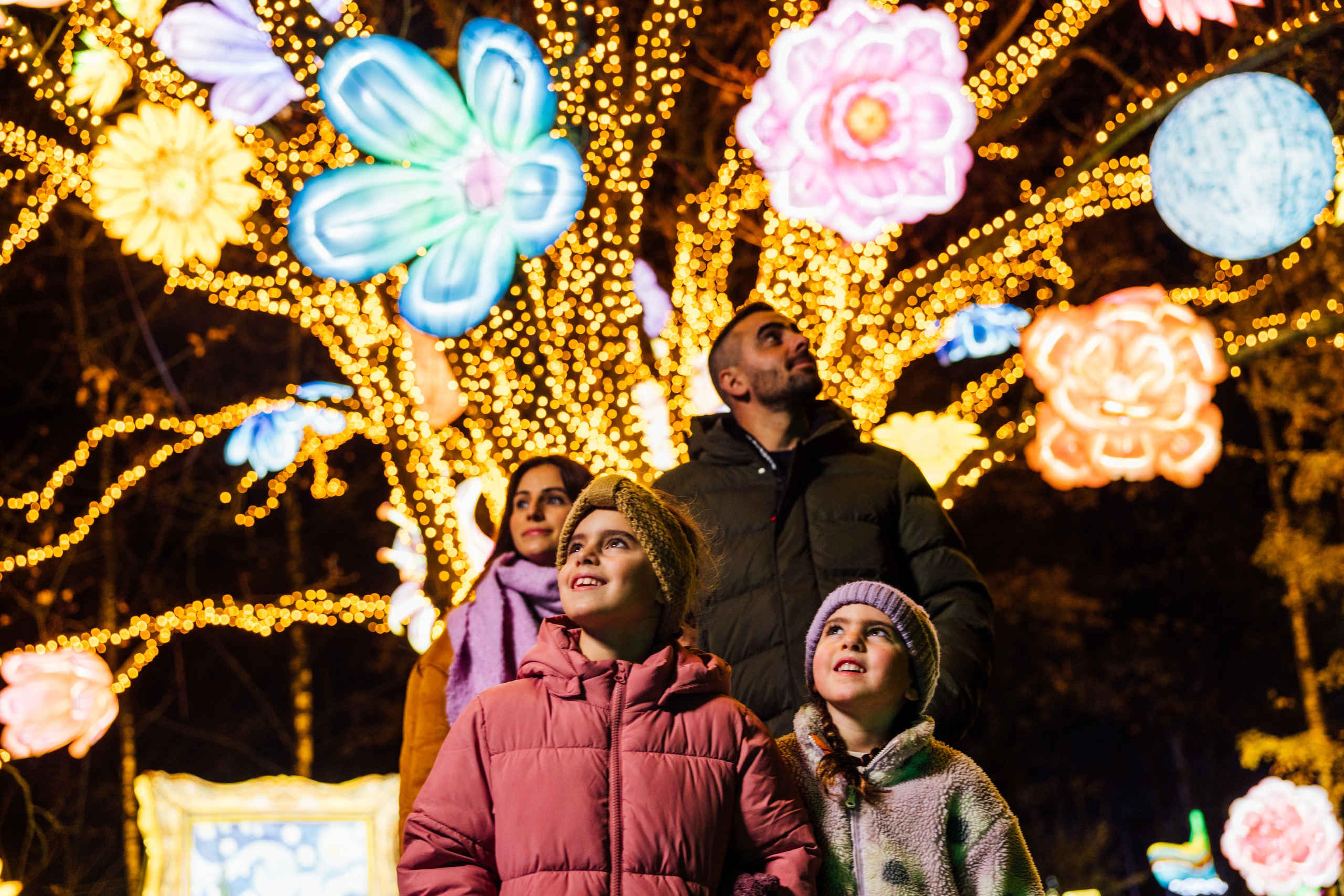 Een gezin staat bij een boom vol lampjes en lichtsculpturen van bloemen bij Light Safari in Safaripark Beekse Bergen.