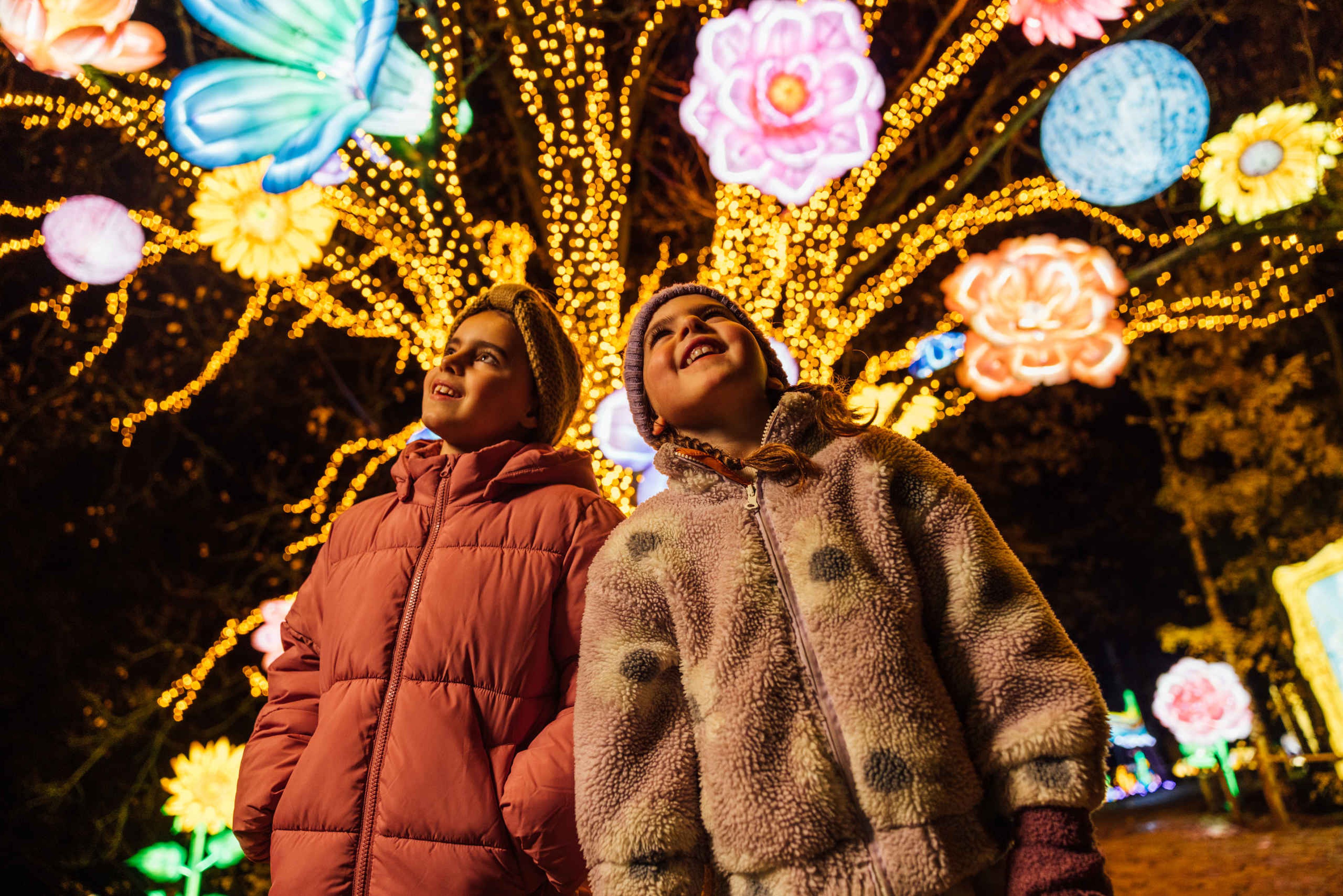Meisjes bij boom vol lichtjes tijdens Light Safari Beekse Bergen