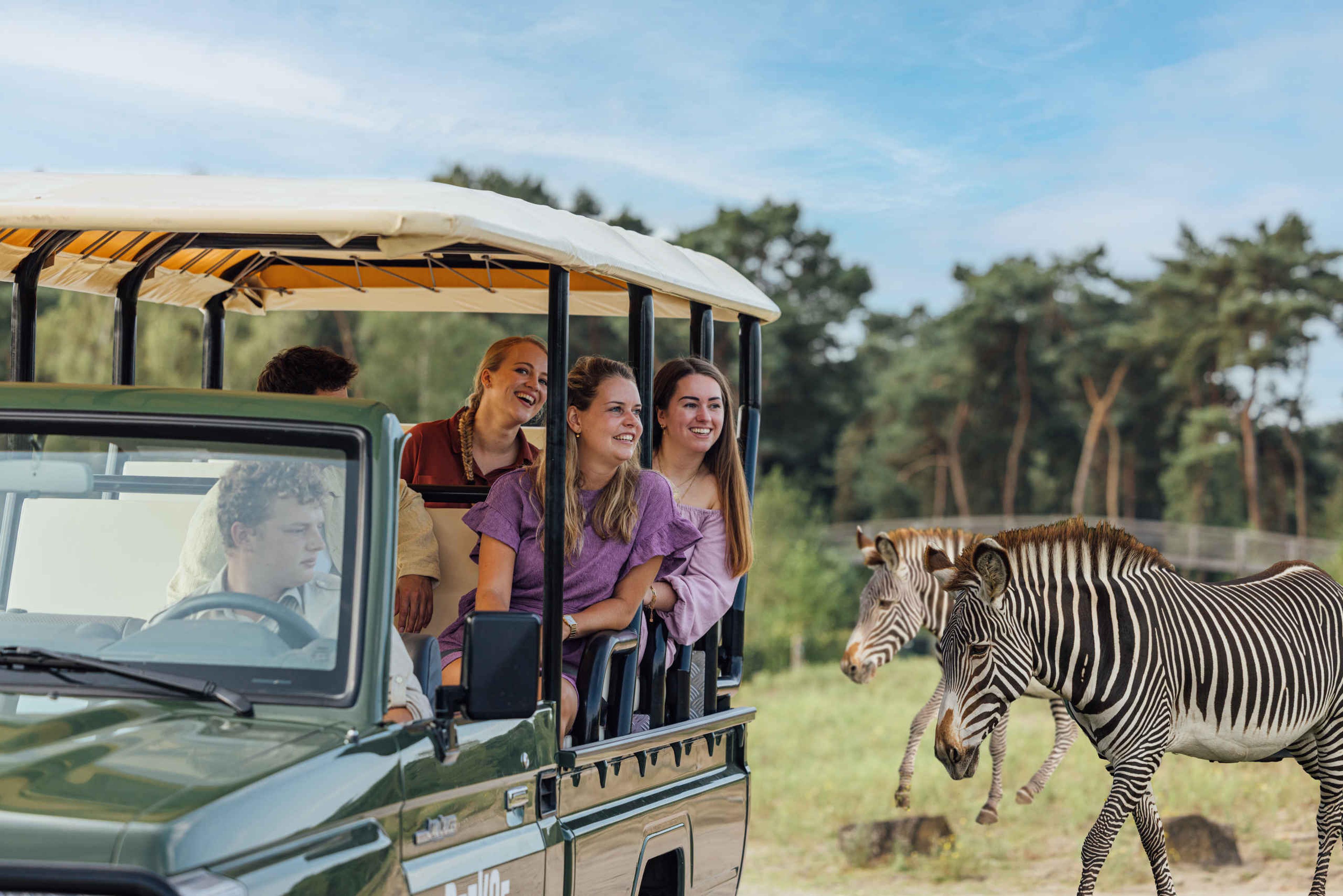 Gamedrive met een ranger bij de zebra's in Safaripark Beekse Bergen
