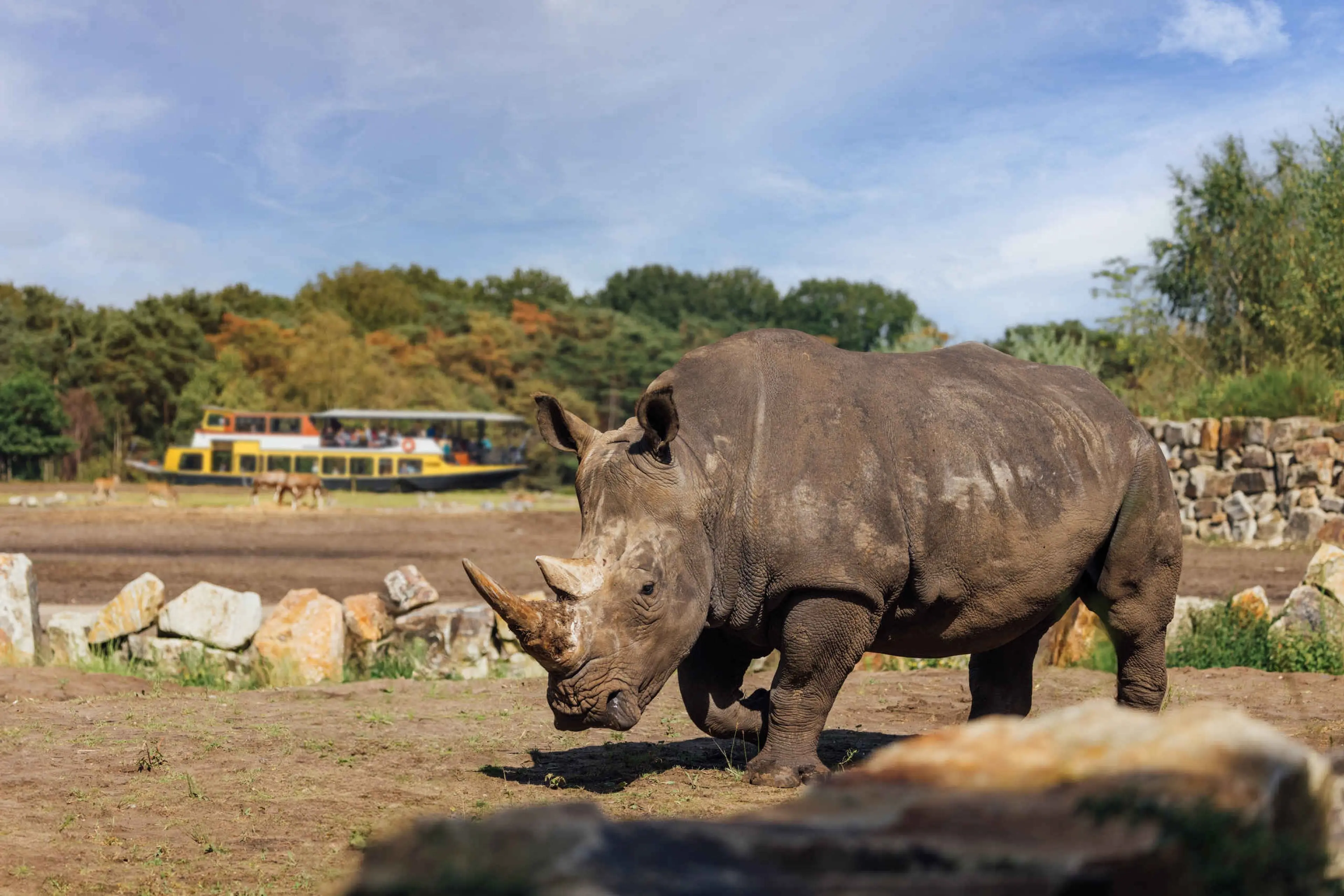 Breedlipneushoorn neushoornvlakte bootsafari gespiegeld Safaripark Beekse Bergen
