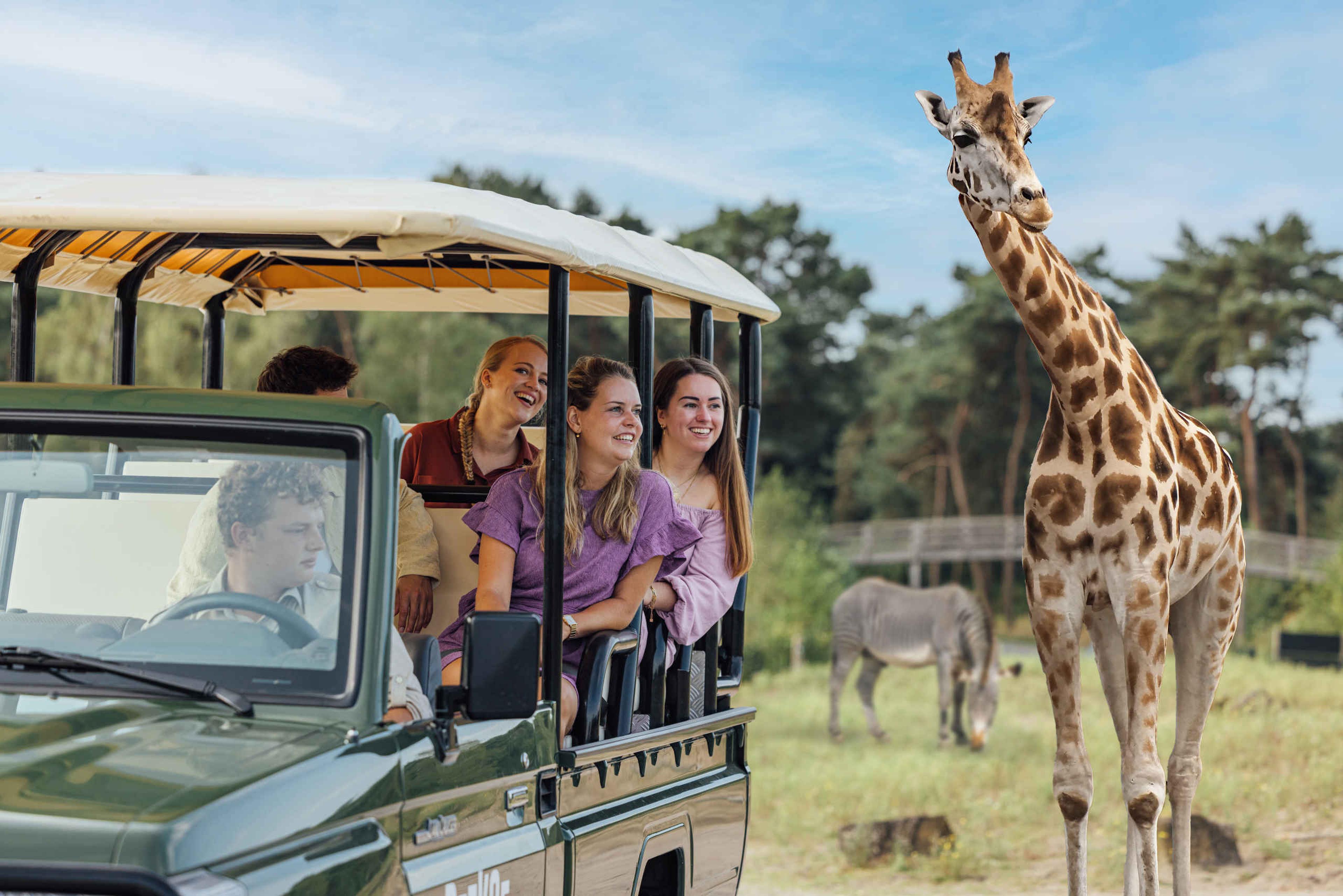 Groep in een gamedrive bij een giraffe in Safaripark Beekse Bergen