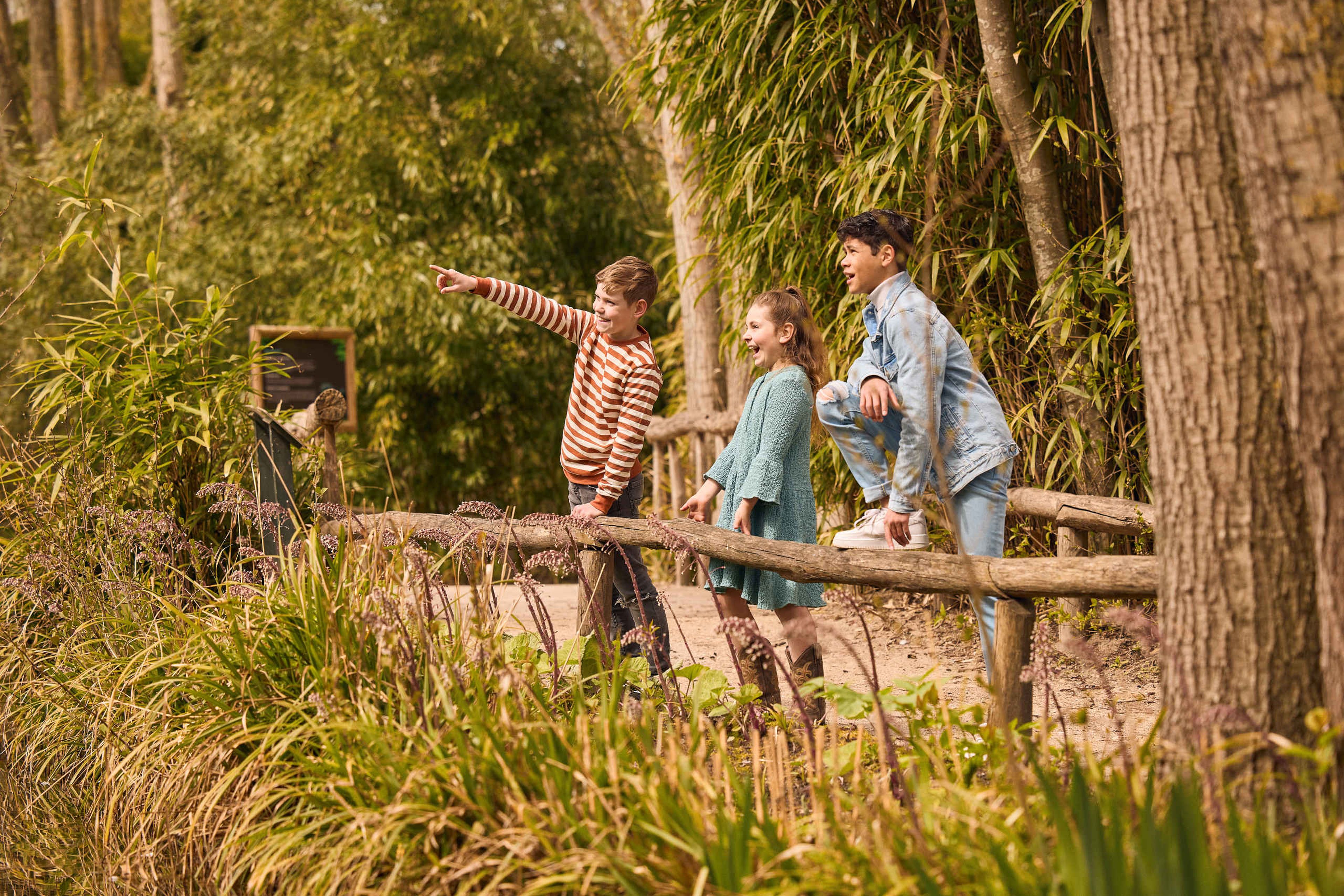 Drie kinderen wijzen naar een dier in ZooParc Overloon