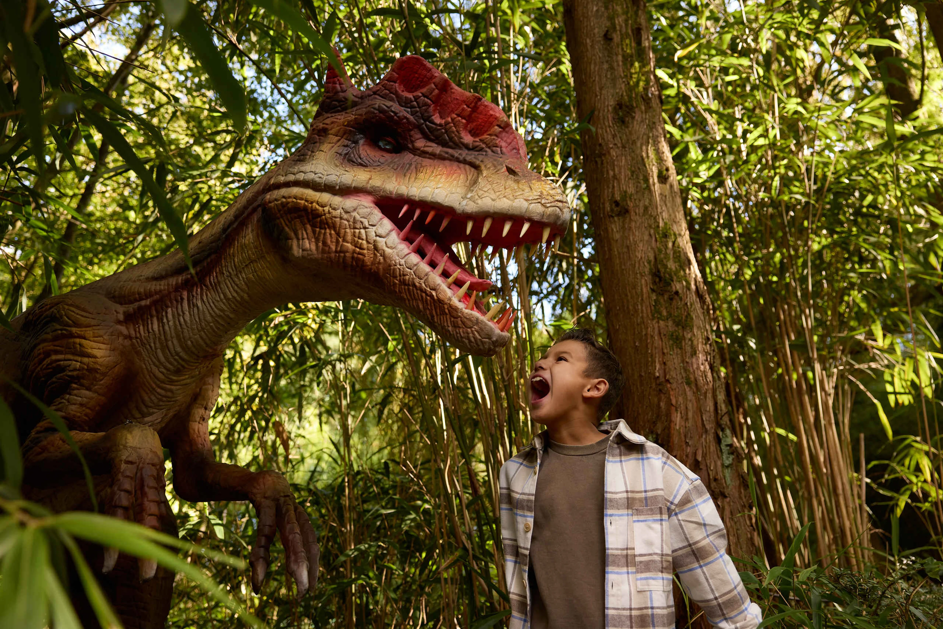 Dinoweken jongen die schreeuwt bij dino ZooParc Overloon