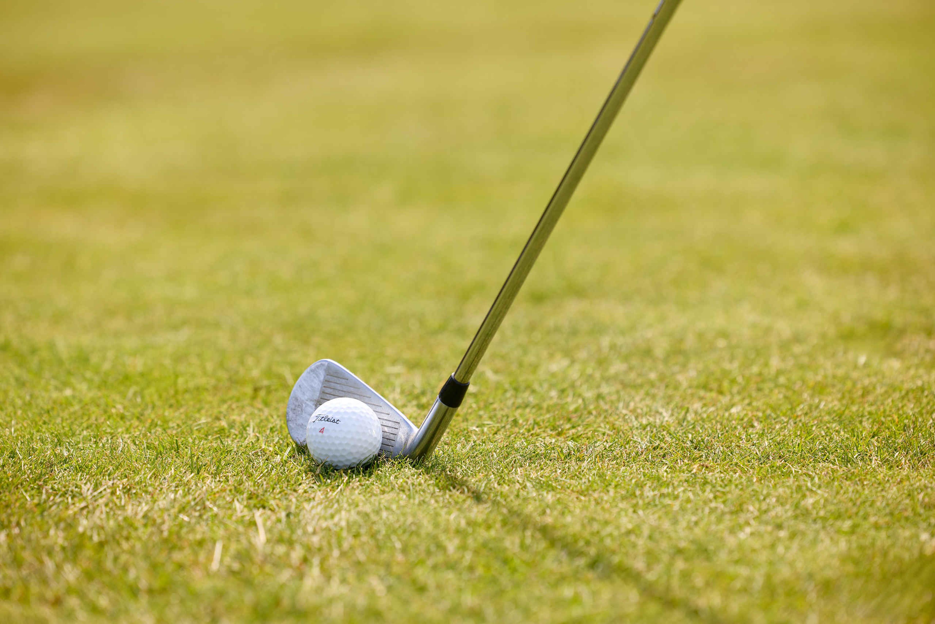 Een golfbal met daarachter een golfclub op de fairway bij Golf De Gulbergen