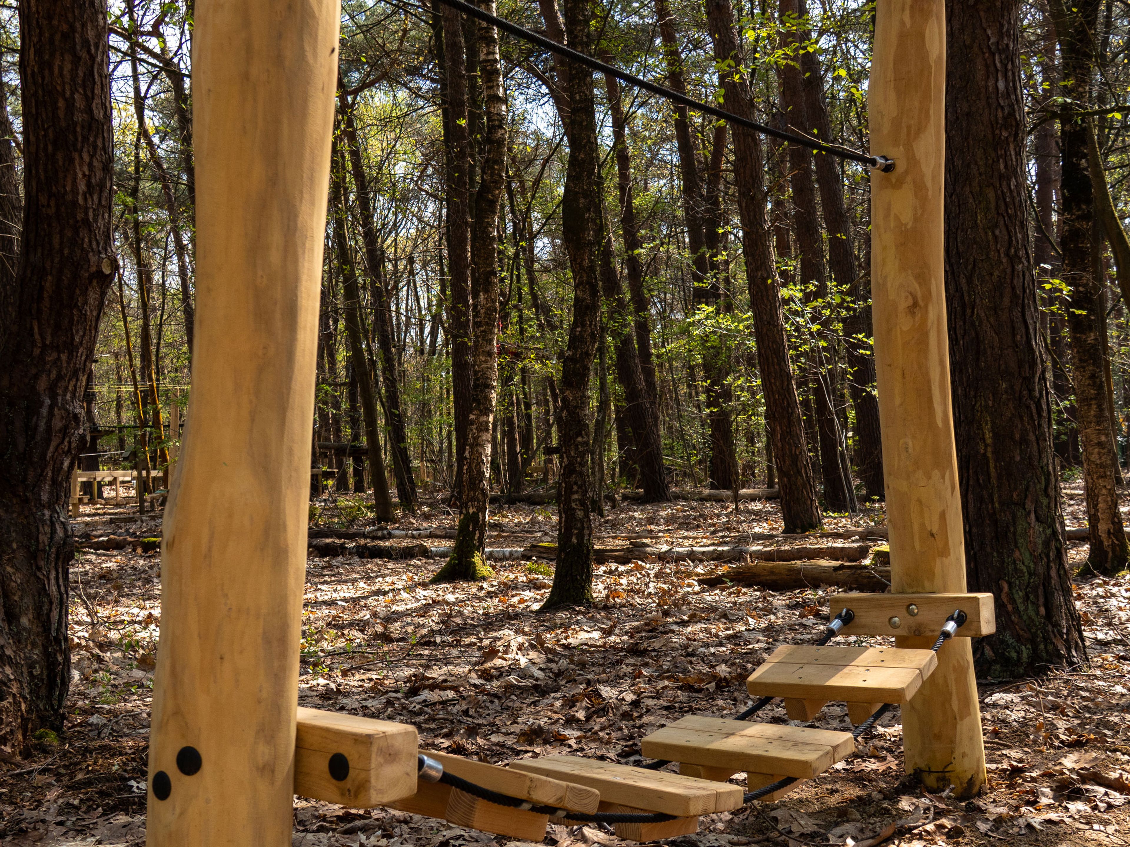Een brug van het Low Rope Parcours bij Klimrijk Brabant