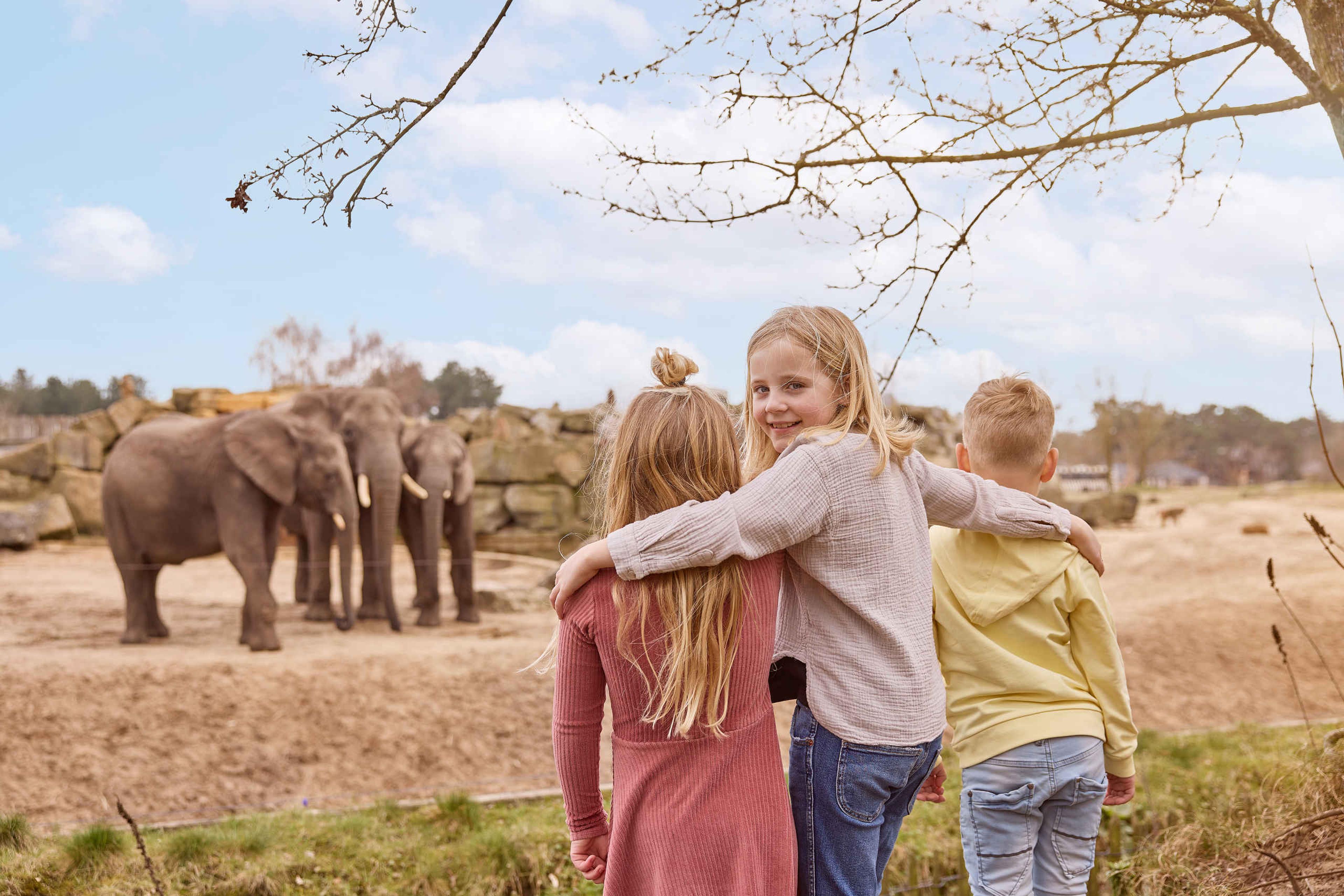 Kinderen kijken bij de olifanten tijdens een schoolreisje in Safaripark Beekse Bergen