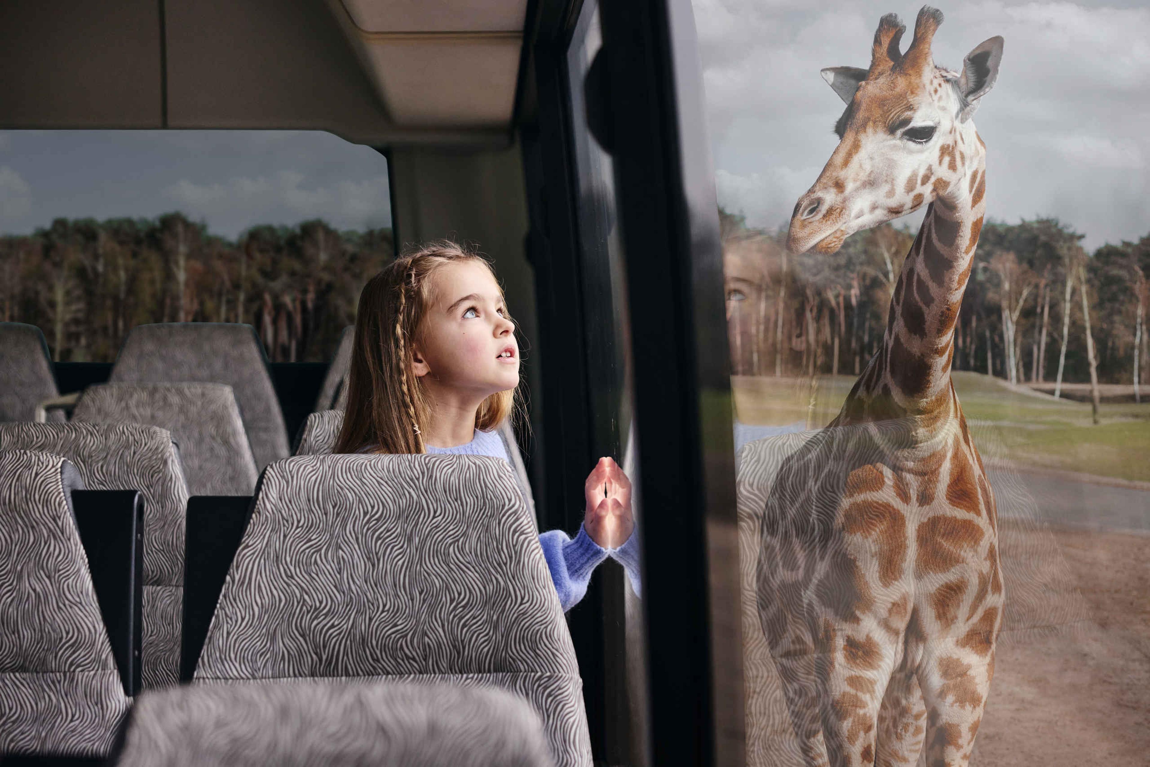 Bussafari meisje bij giraf in bus close-up Safaripark Beekse Bergen