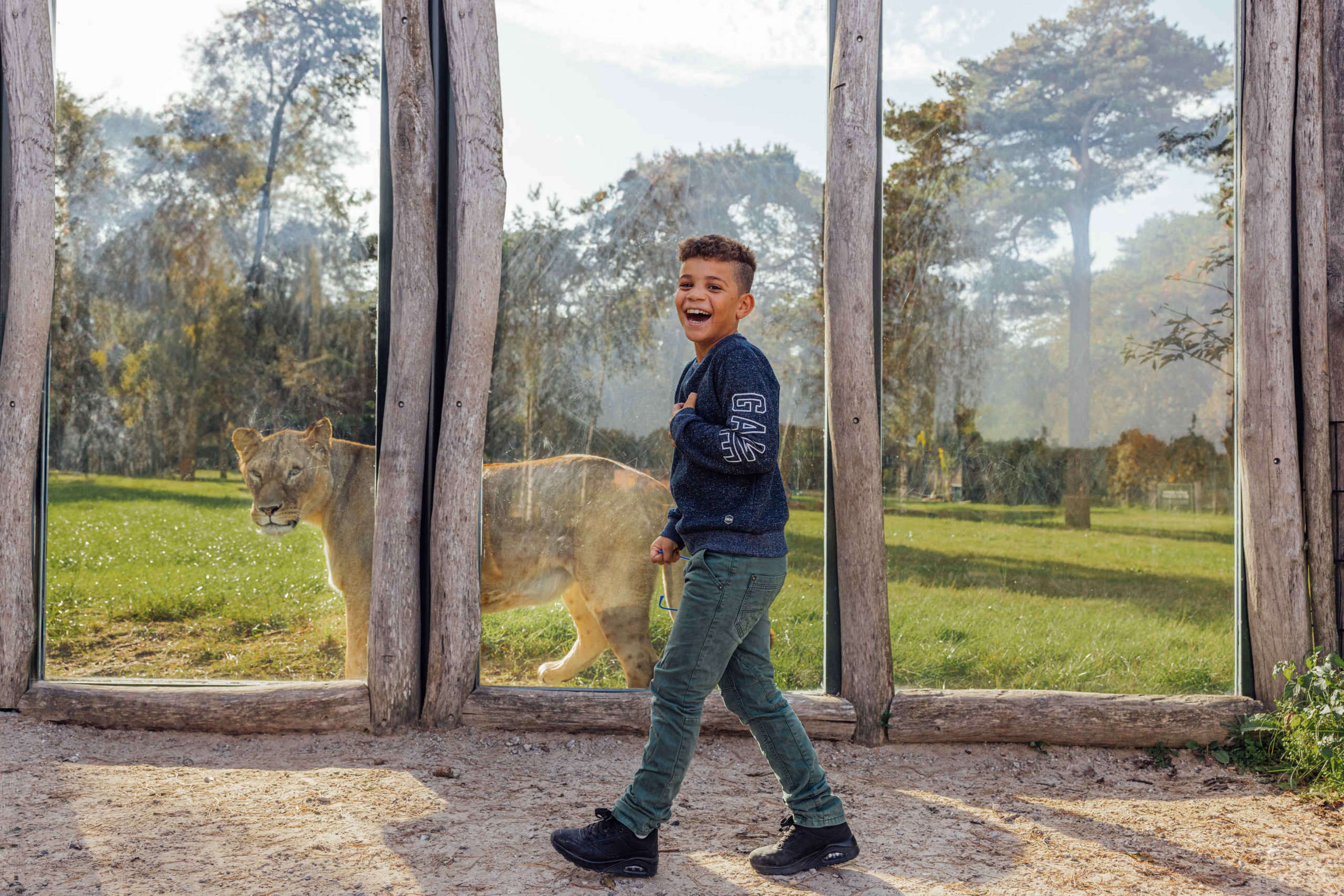 Jongen bij een leeuwin in Safaripark Beekse Bergen