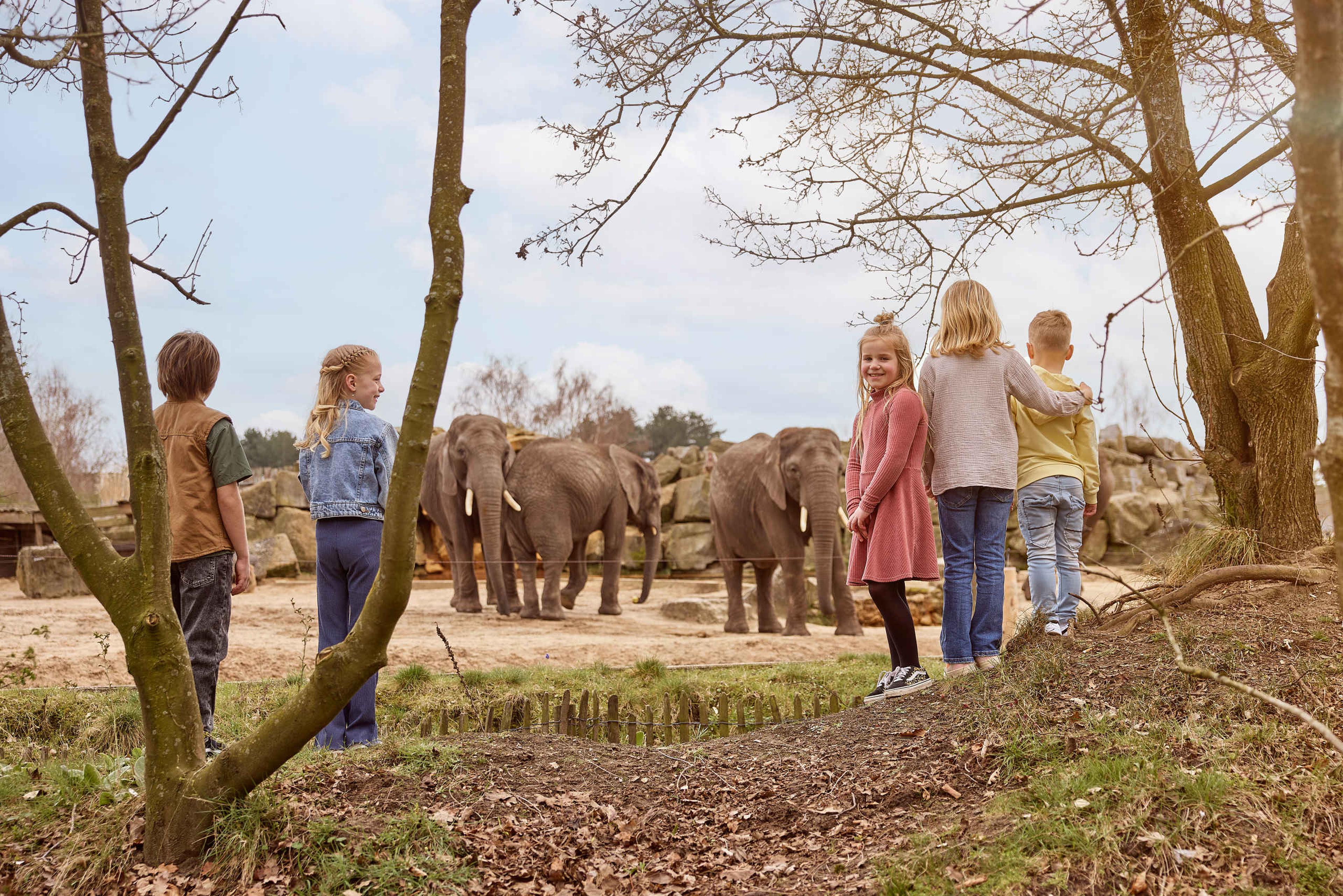 Kinderen bij de olifanten tijdens een kinderfeestje bij Beekse Bergen