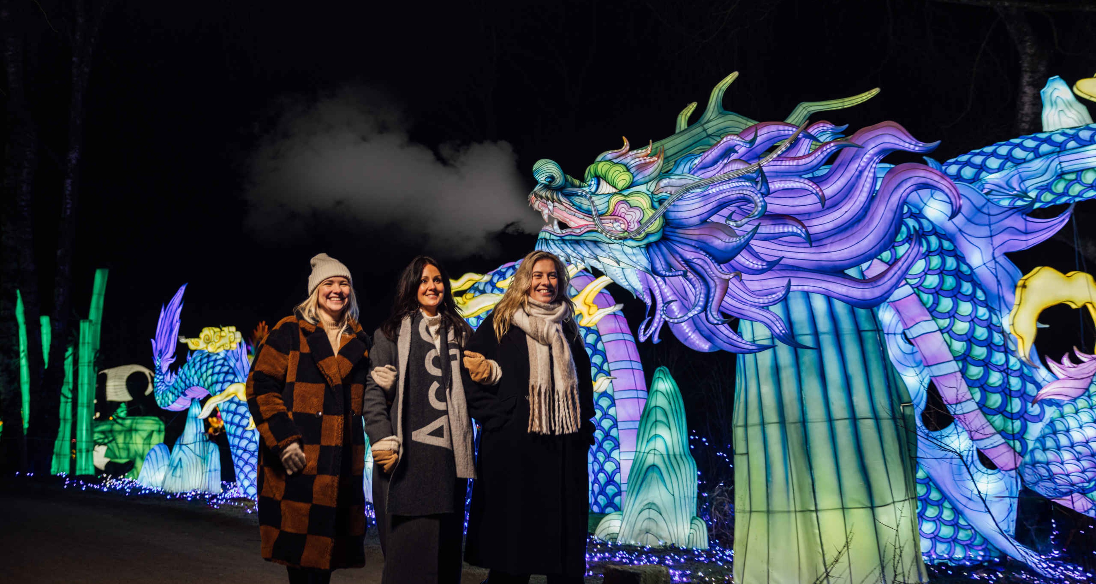 Drie collega's kijken bij Light Safari Beekse Bergen.