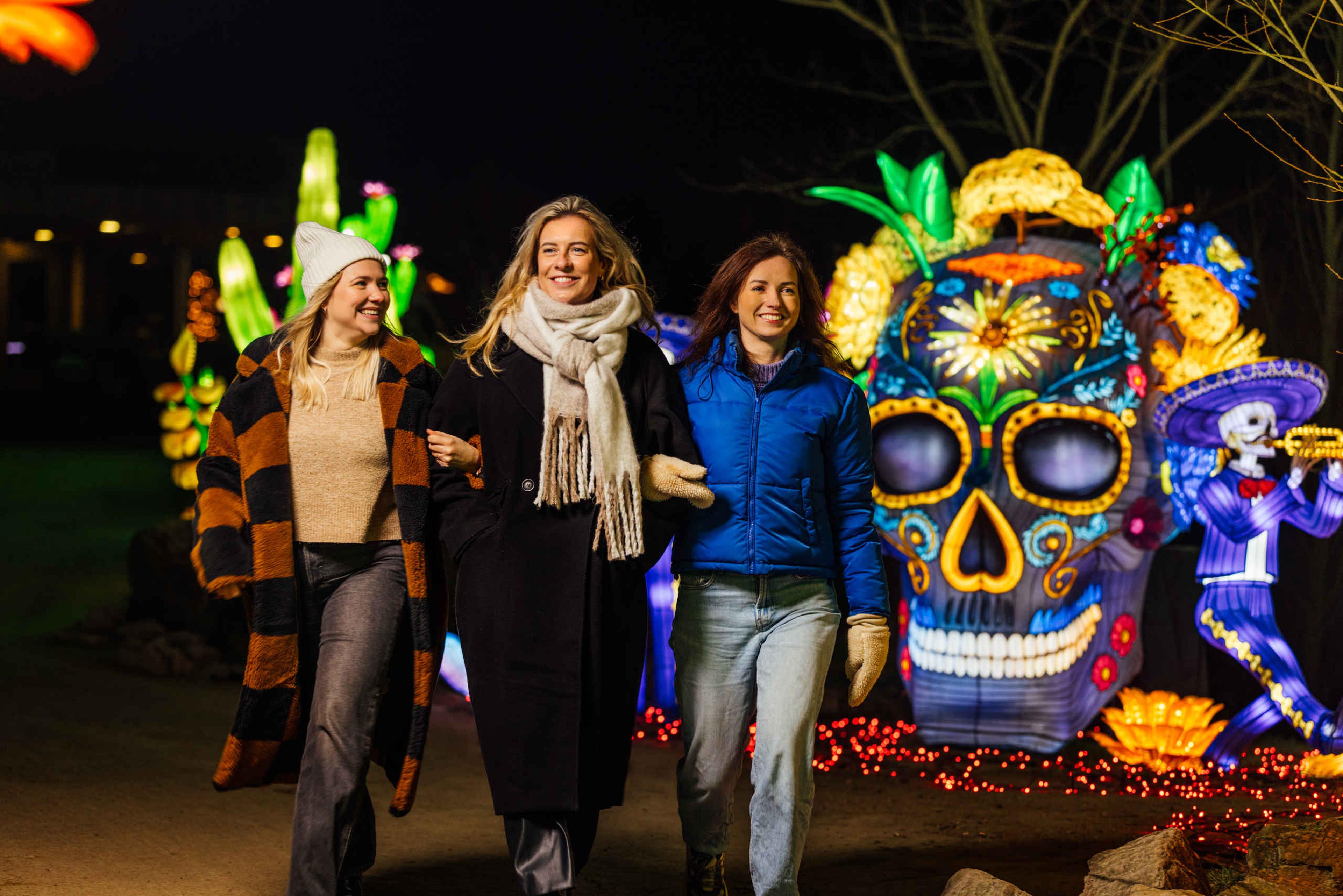 Drie collega's kijken bij Light Safari Beekse Bergen.