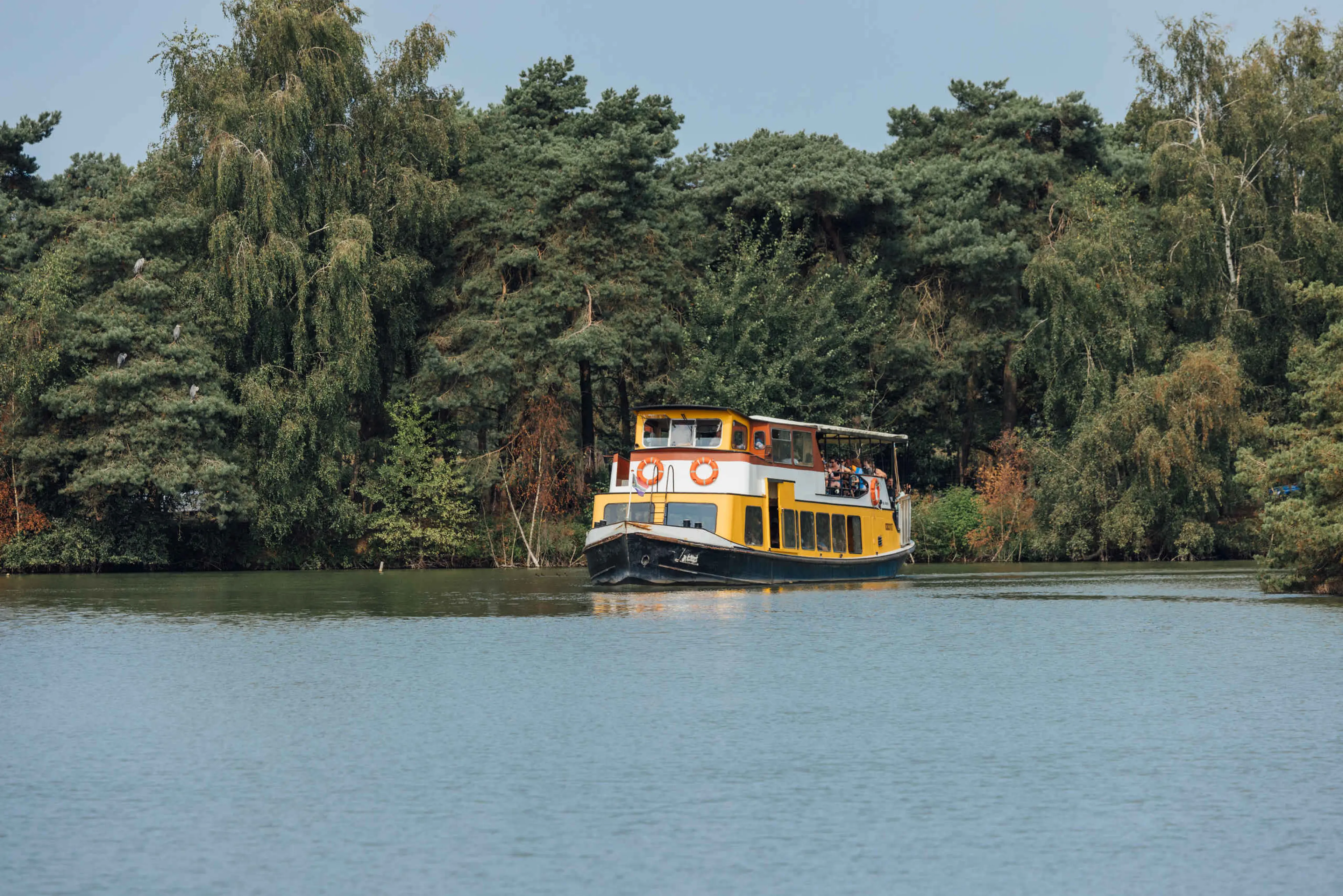 Bootsafari tussen de bomen op het water in Safaripark Beekse Bergen