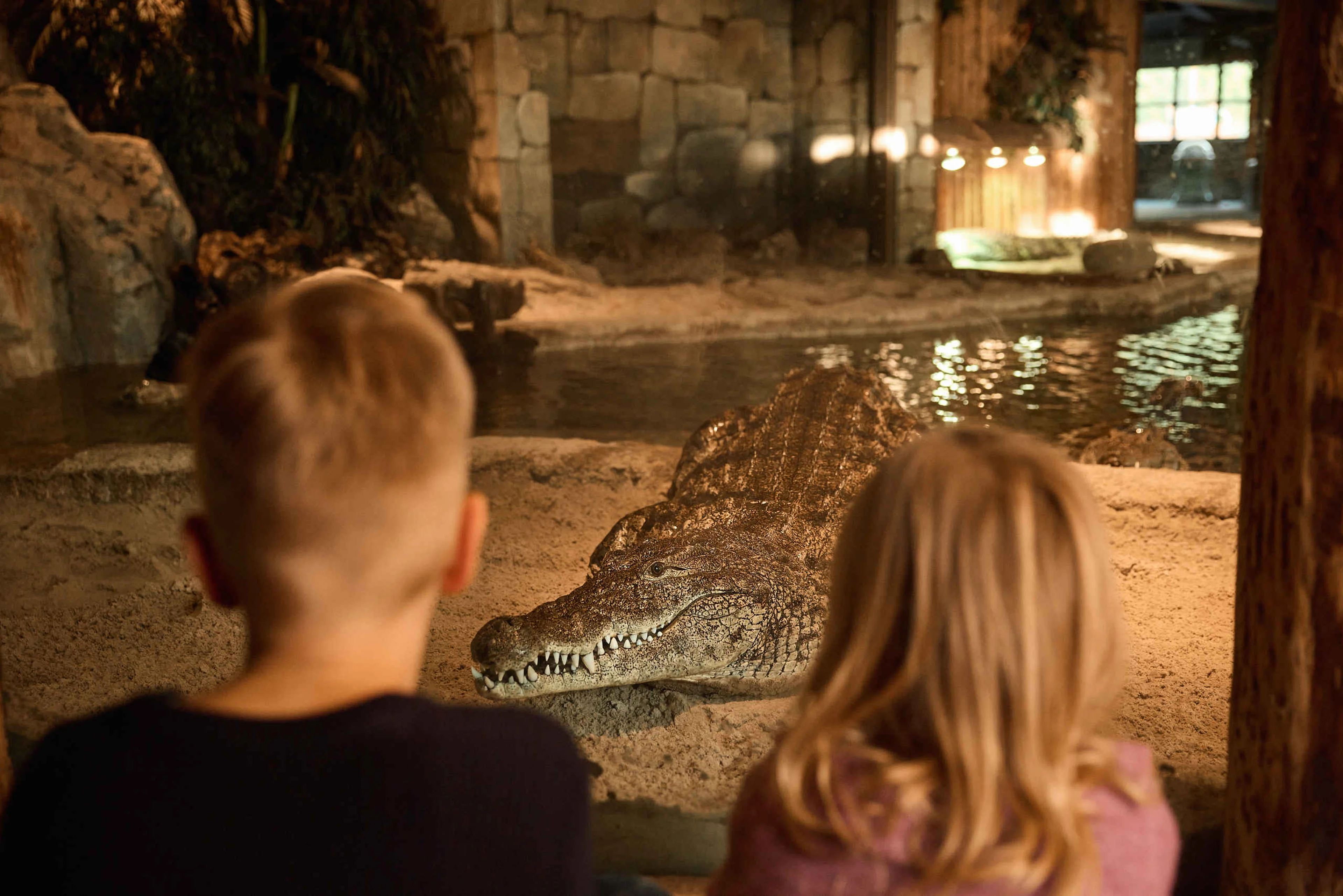 Kinderen kijken naar krokodil in het binnenverblijf bij AquaZoo Leeuwarden
