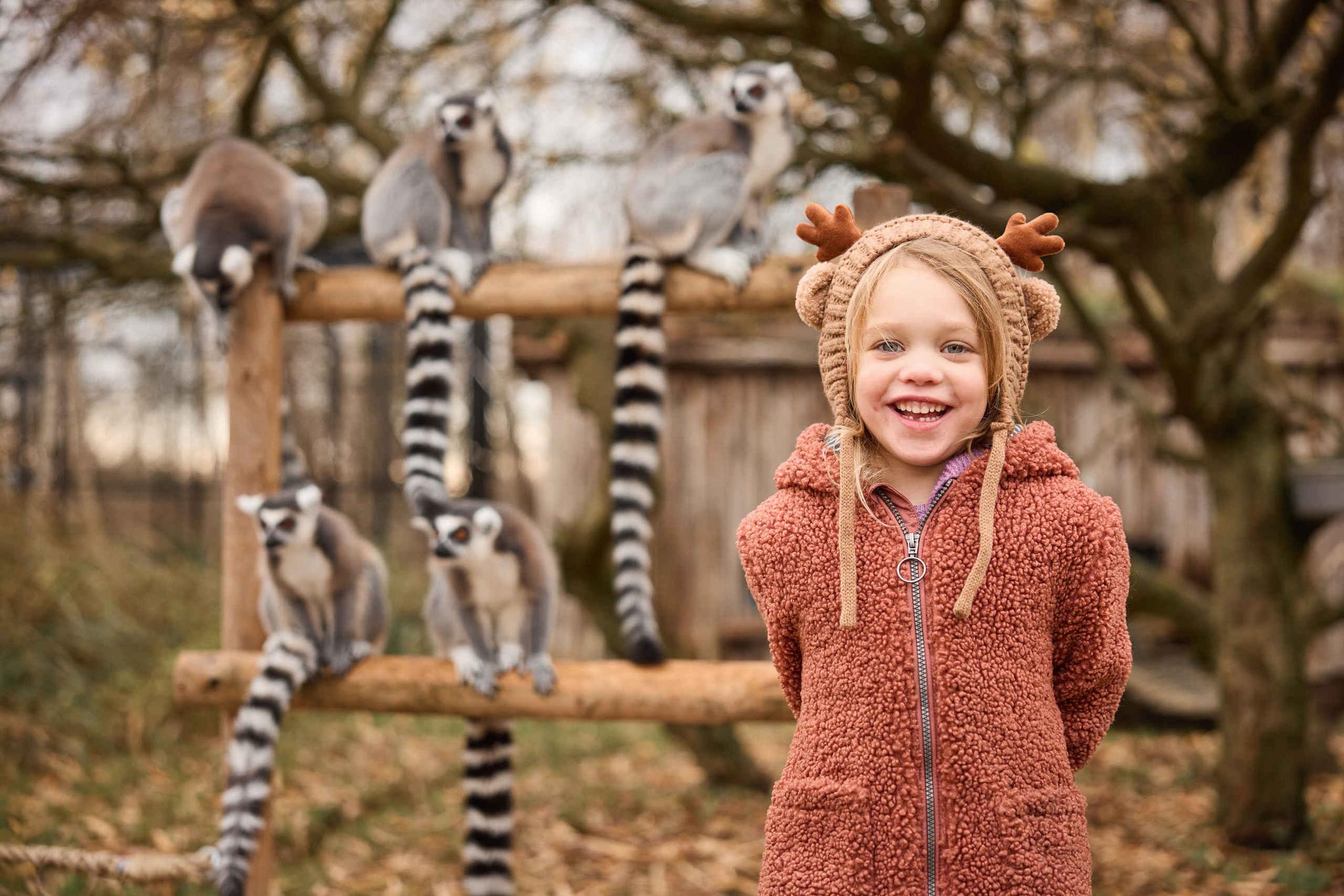 Ringstaartmaki en kind met muts in AquaZoo Leeuwarden