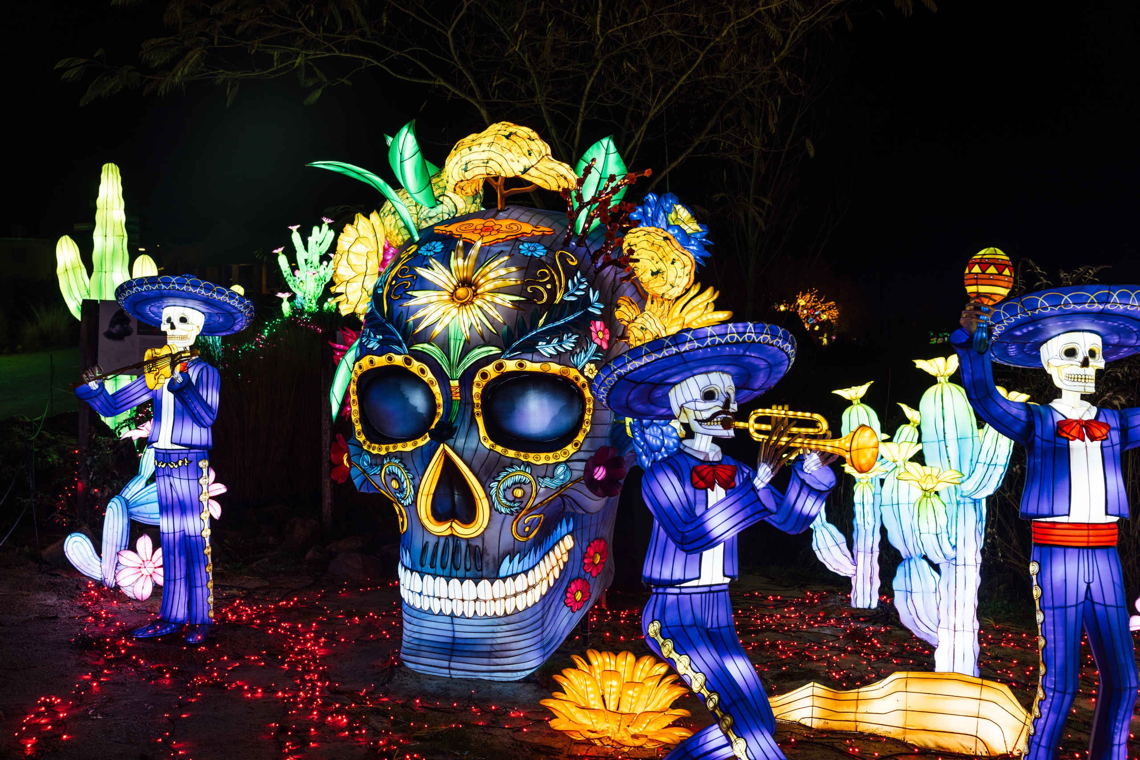 Lichtsculpturen van Dia de Los Muertos bij Light Safari in Safaripark Beekse Bergen.