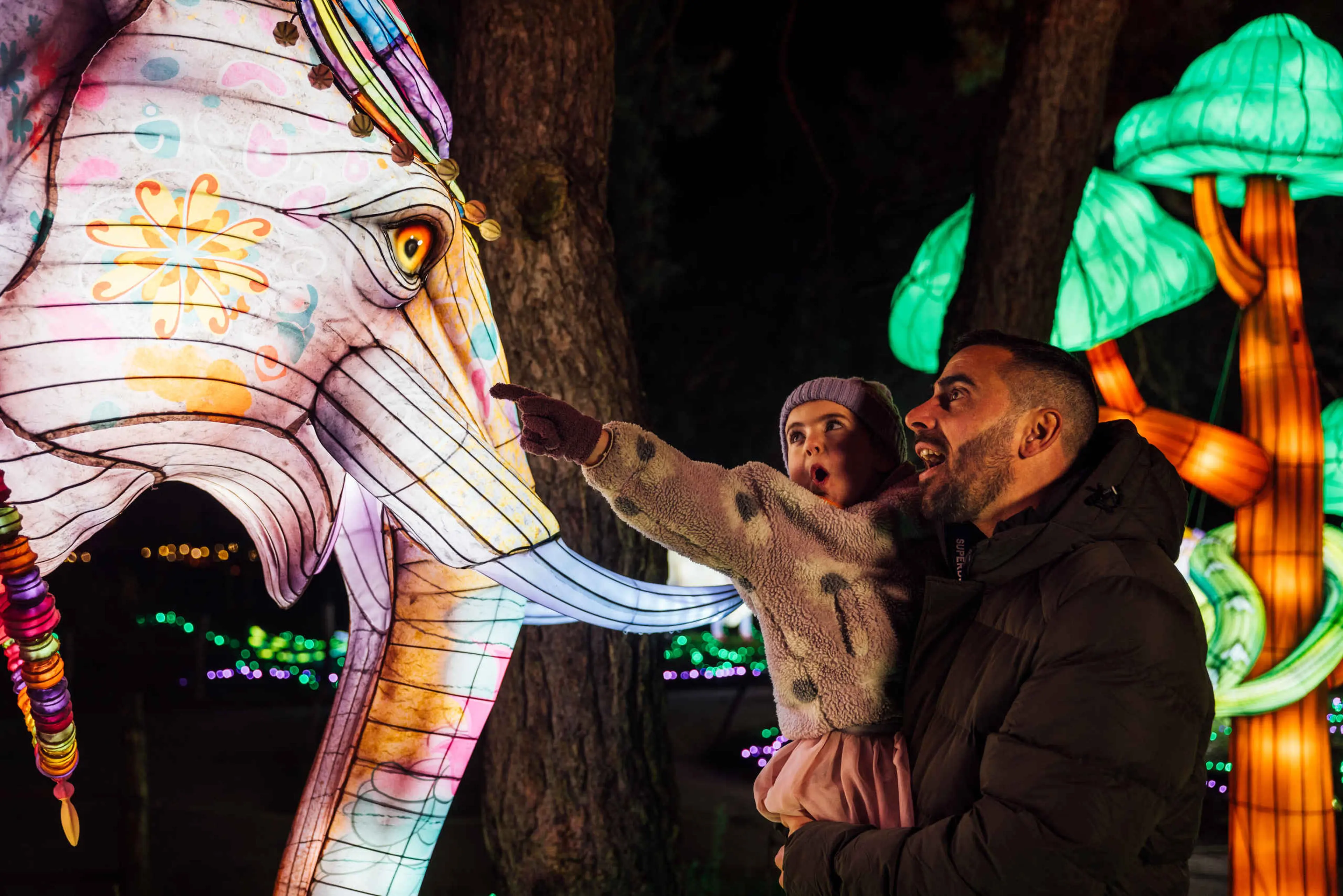 Vader en kind kijkend naar een olifant tijdens Light Safari Beekse Bergen