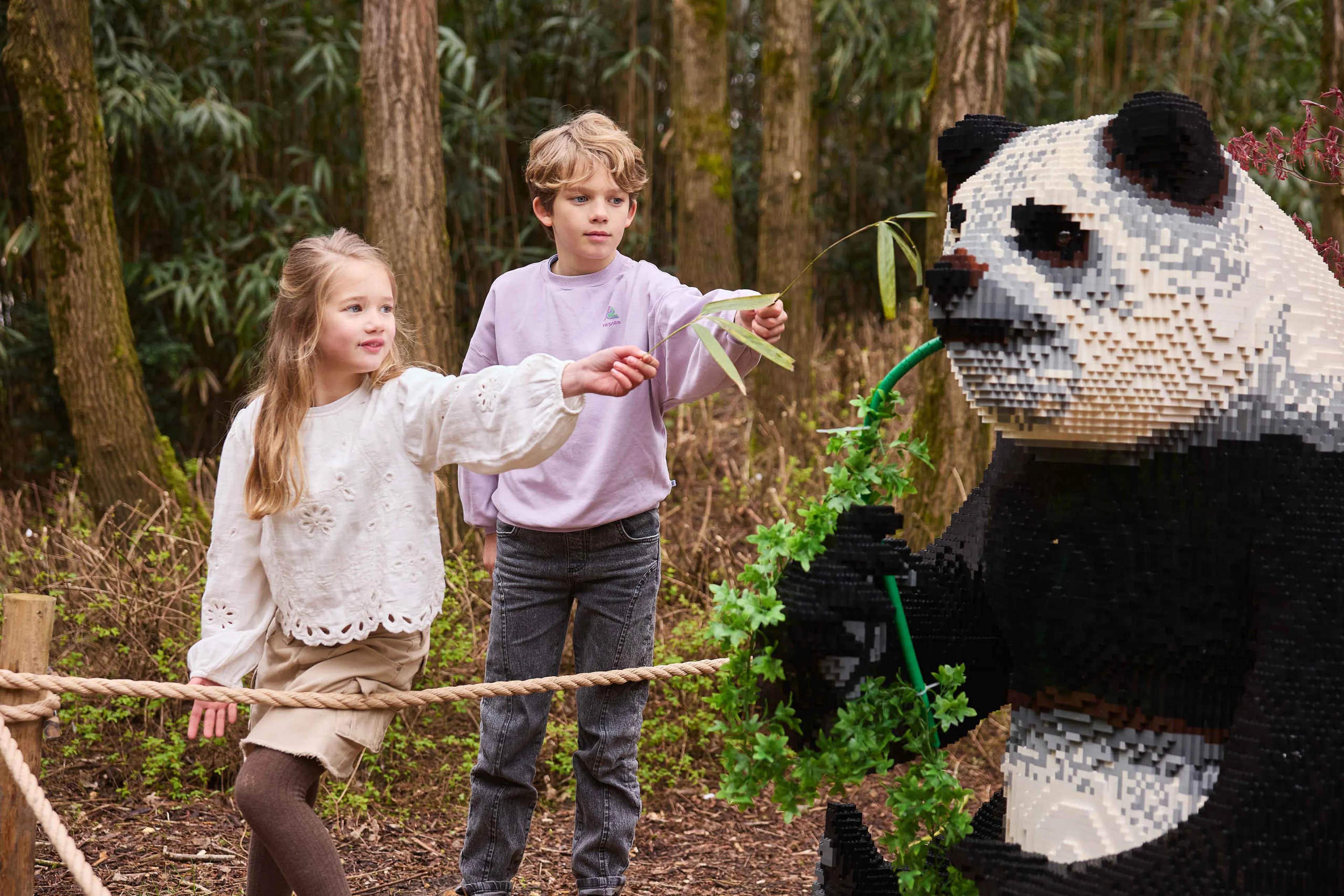 Kinderen proberen tevergeefs een reuzenpanda te voeren tijdens Wild Bricks in ZooParc Overloon