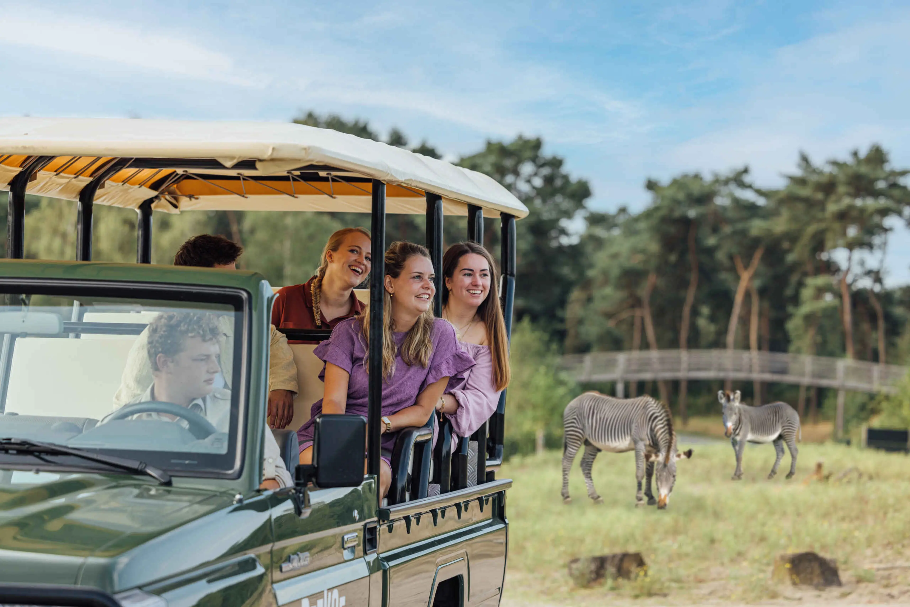 Groep in de gamedrive bij de zebra's in Safaripark Beekse Bergen
