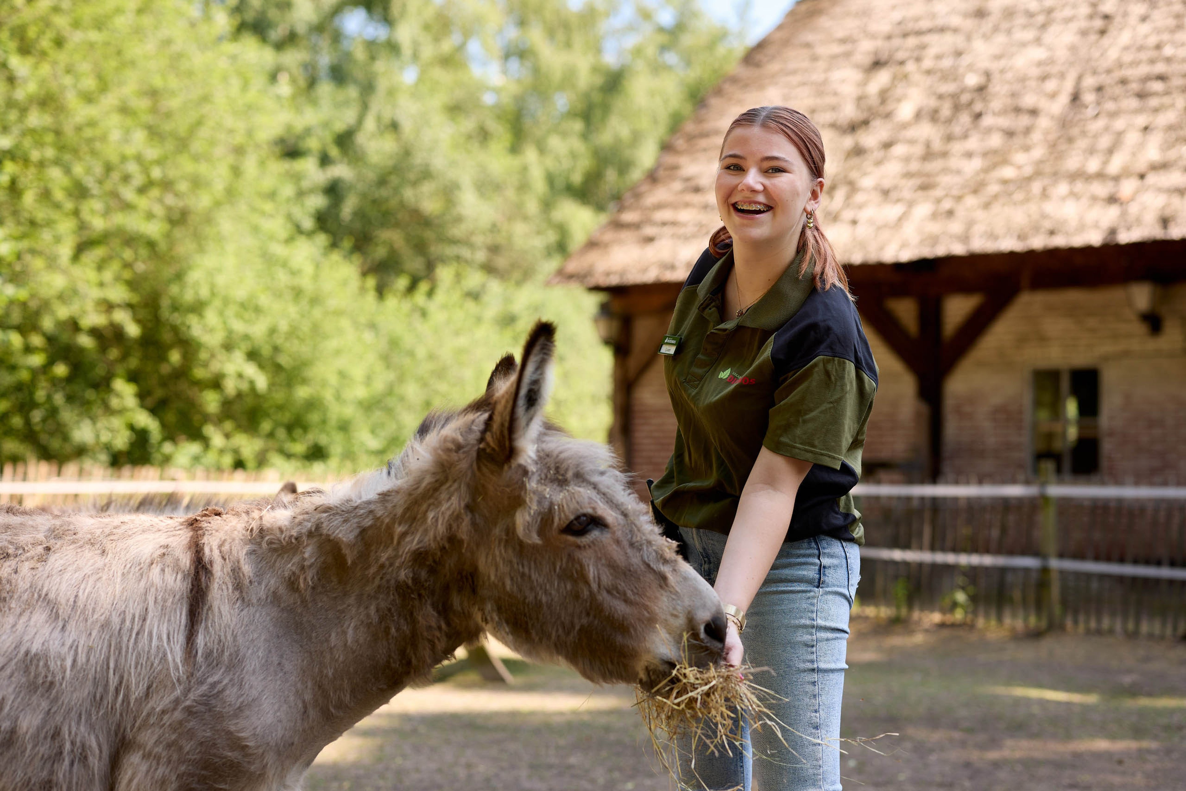Dierenverzorger met ezel in Vakantiepark Dierenbos