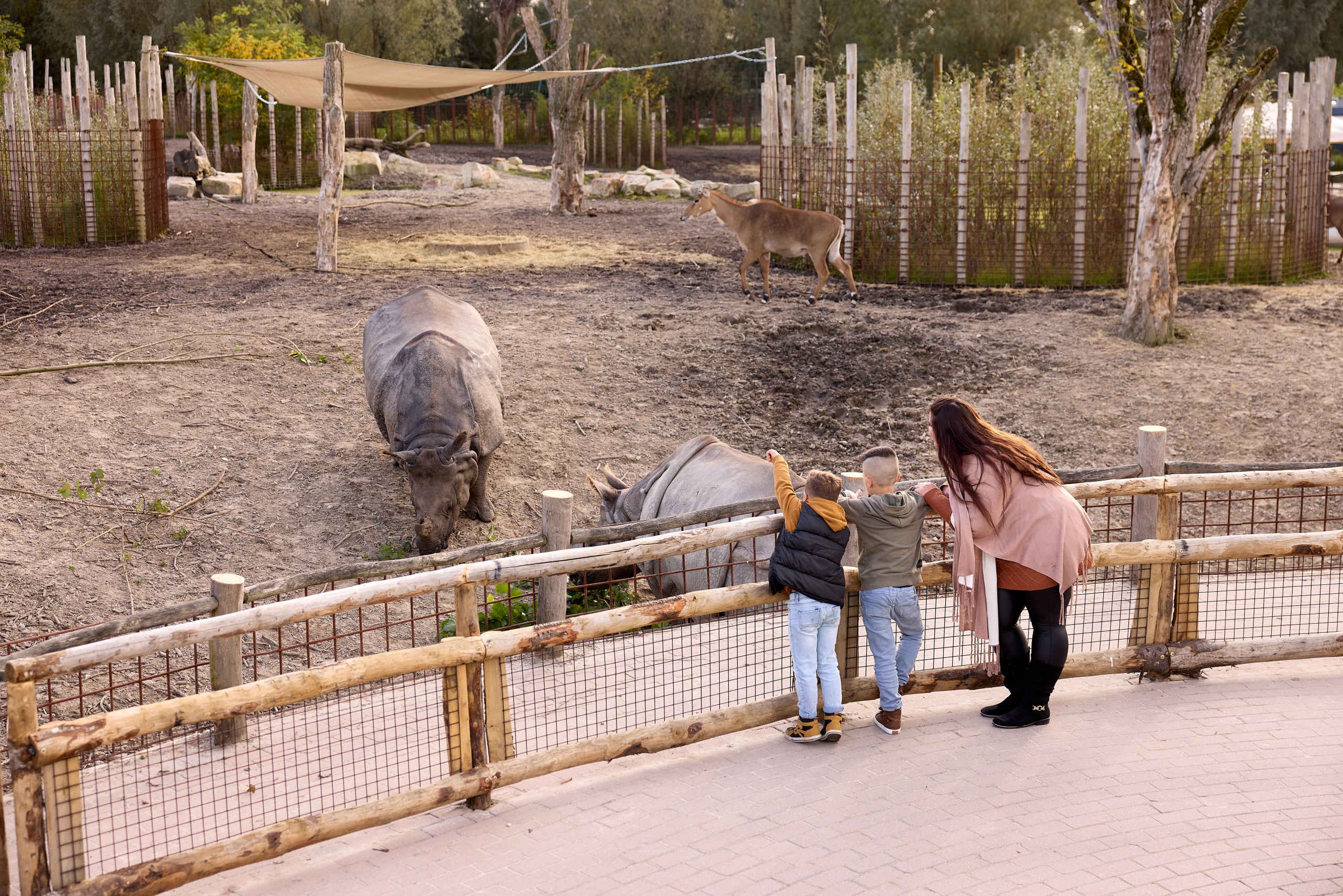 Een moeder en twee kinderen kijken naar de neushoorn in Eindhoven Zoo