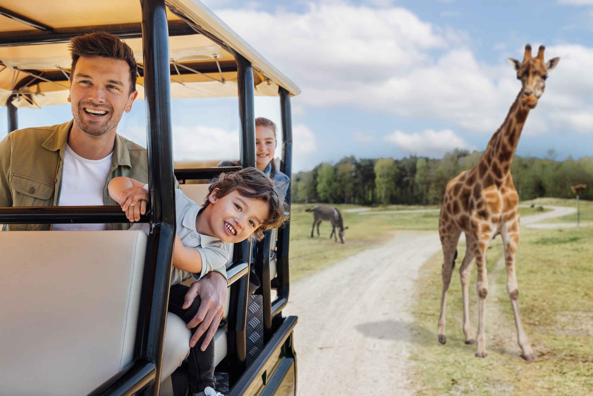 Zebra en giraf met vader zoon en dochter tijdens gamedrive in Safaripark Beekse Bergen