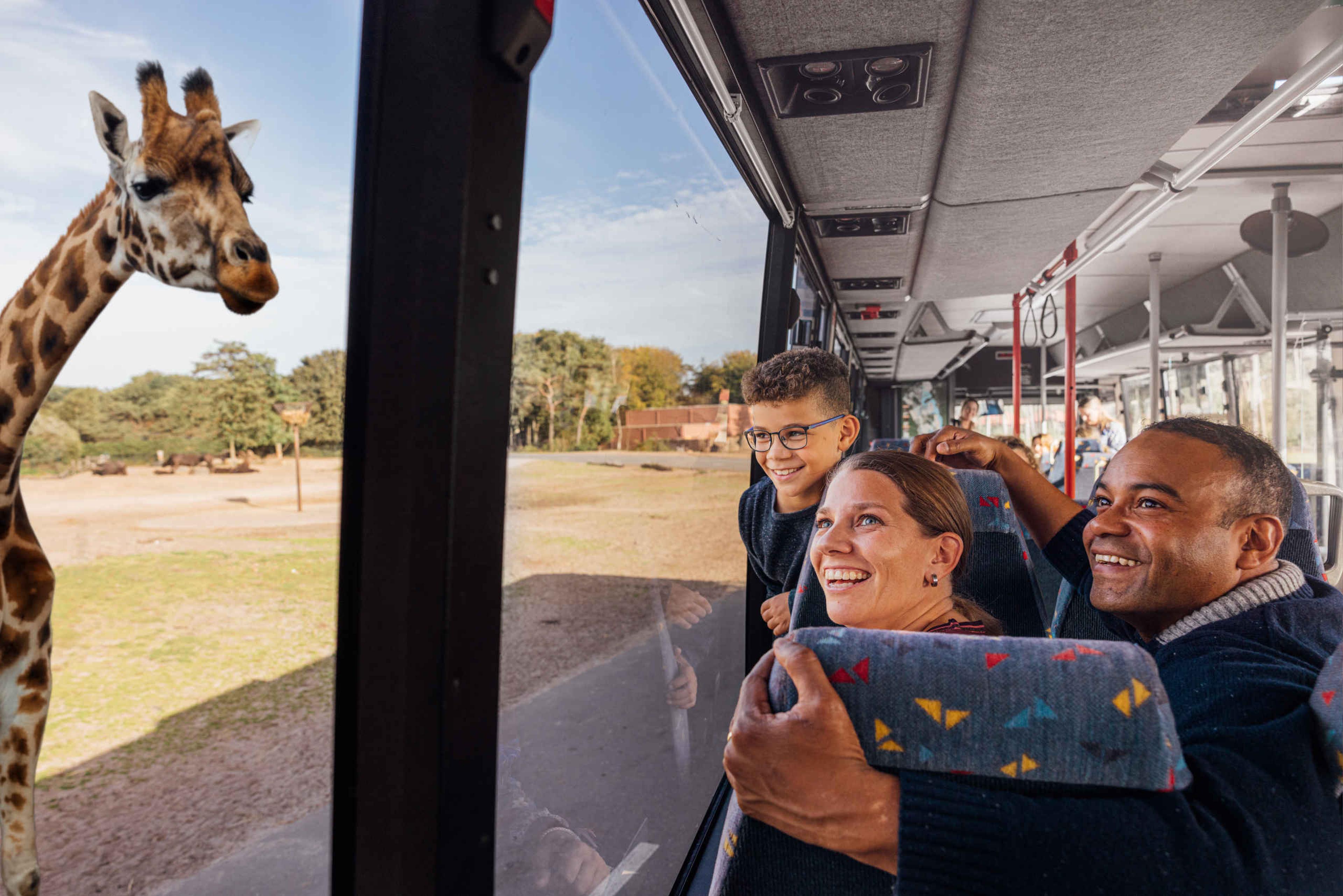 Herft giraf bussafari gezin in bus bij Safaripark Beekse Bergen