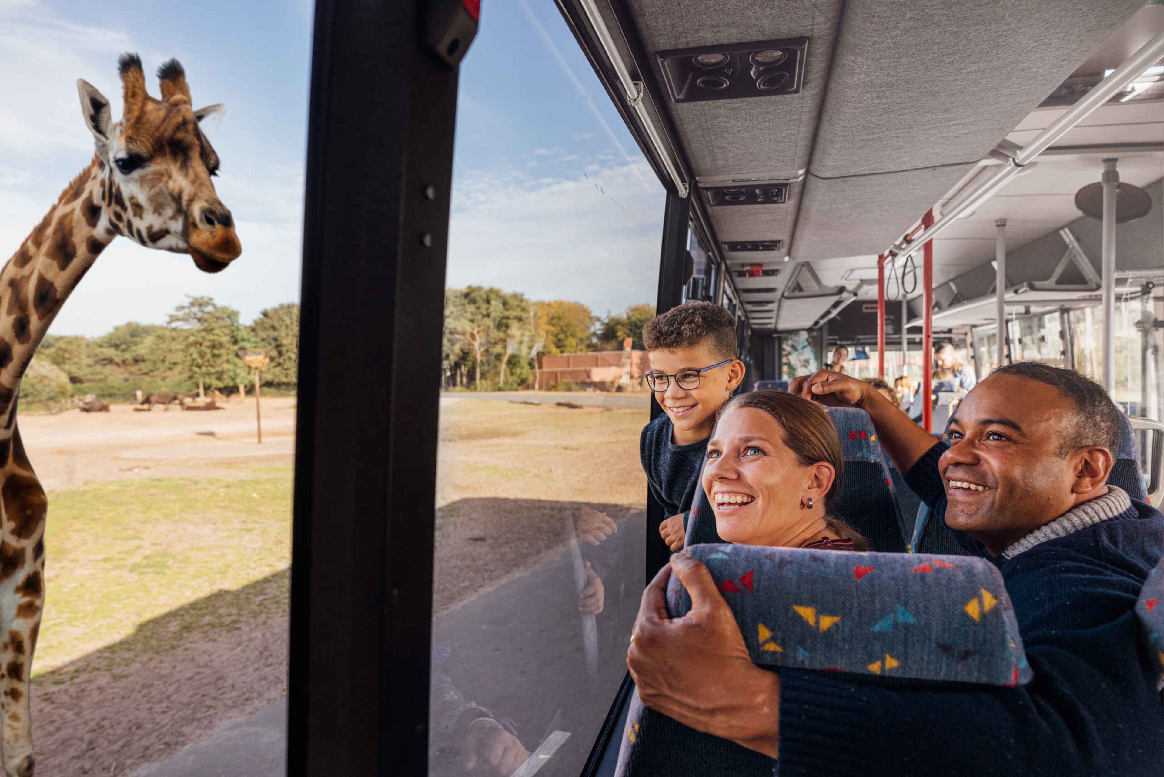 Herft giraf bussafari gezin in bus bij Safaripark Beekse Bergen