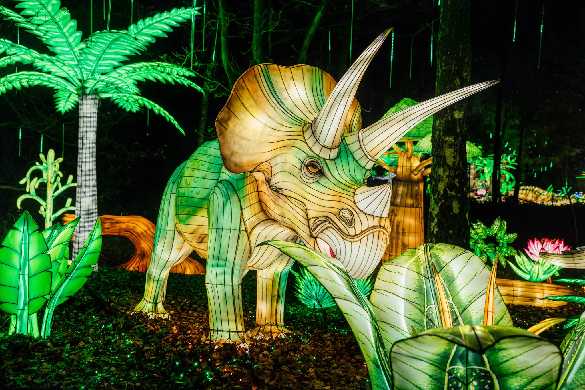Dino lichtfiguur tijdens Light Safari Beekse Bergen