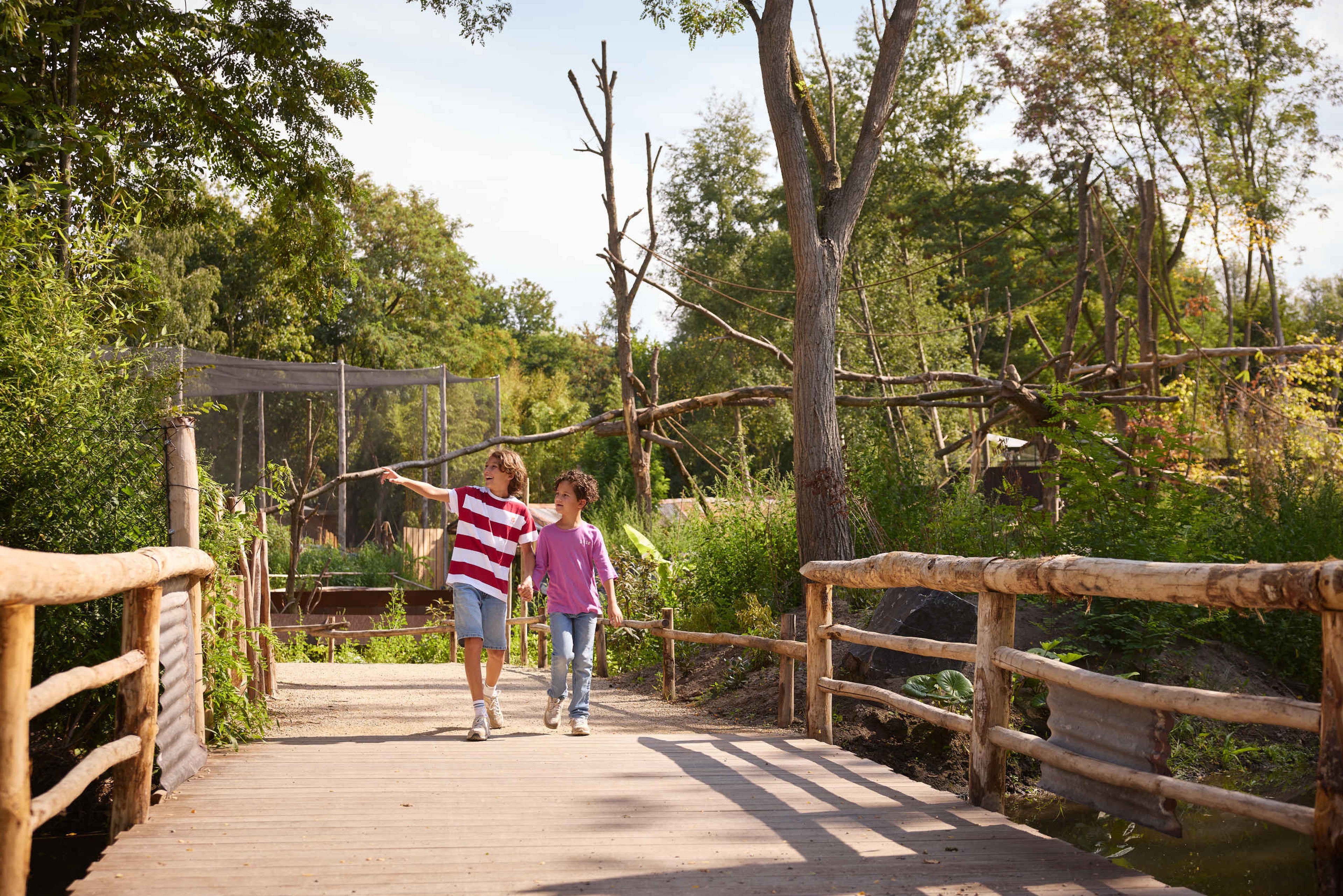 Twee kinderen lopen over de brug in het expeditiegebied Ngyuwe in ZooParc Overloon