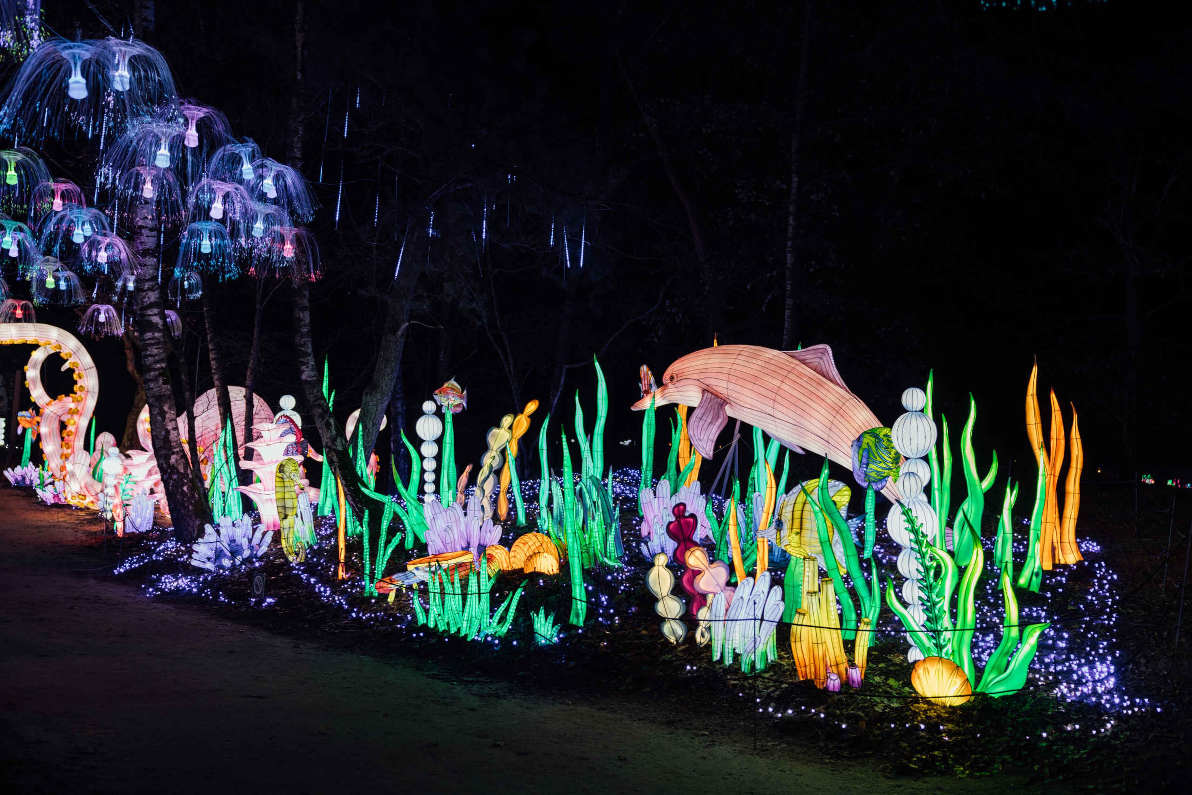 De zeewereld bij Light Safari Beekse Bergen
