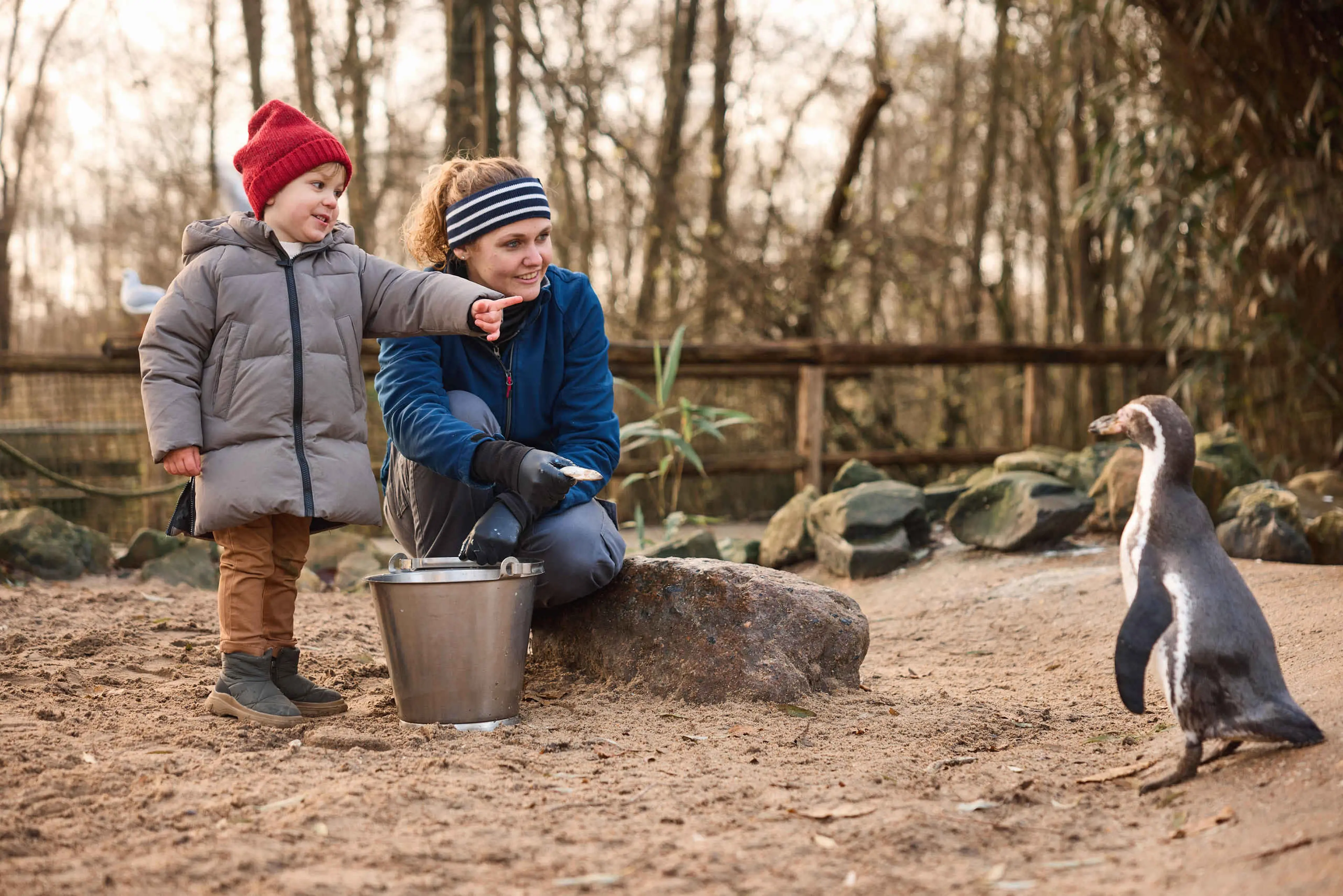 Winter pinguin met dierenverzorger en kind bij AquaZoo Leeuwarden