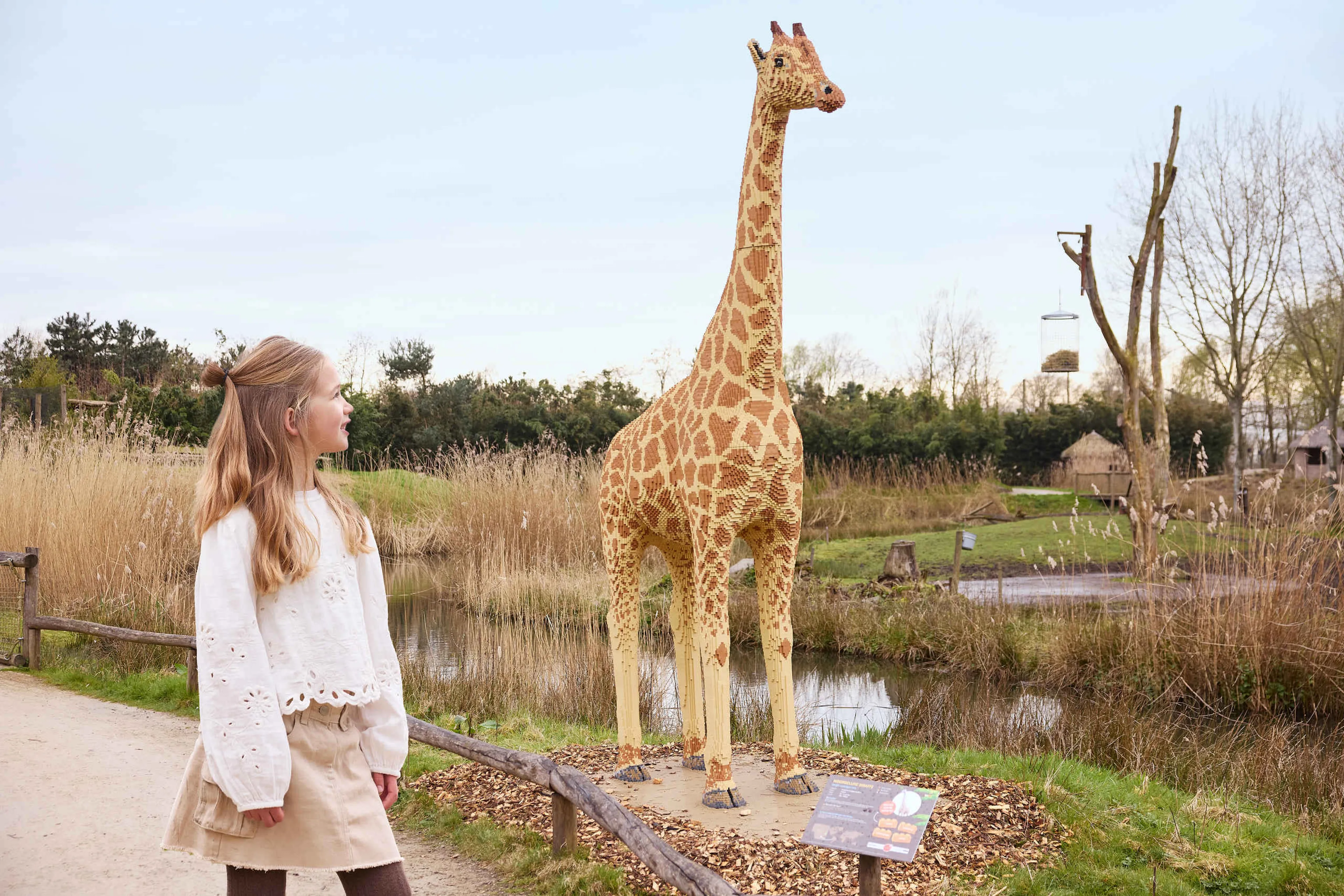 Een meisje kijkt naar de giraf tijdens Wild Bricks in ZooParc Overloon