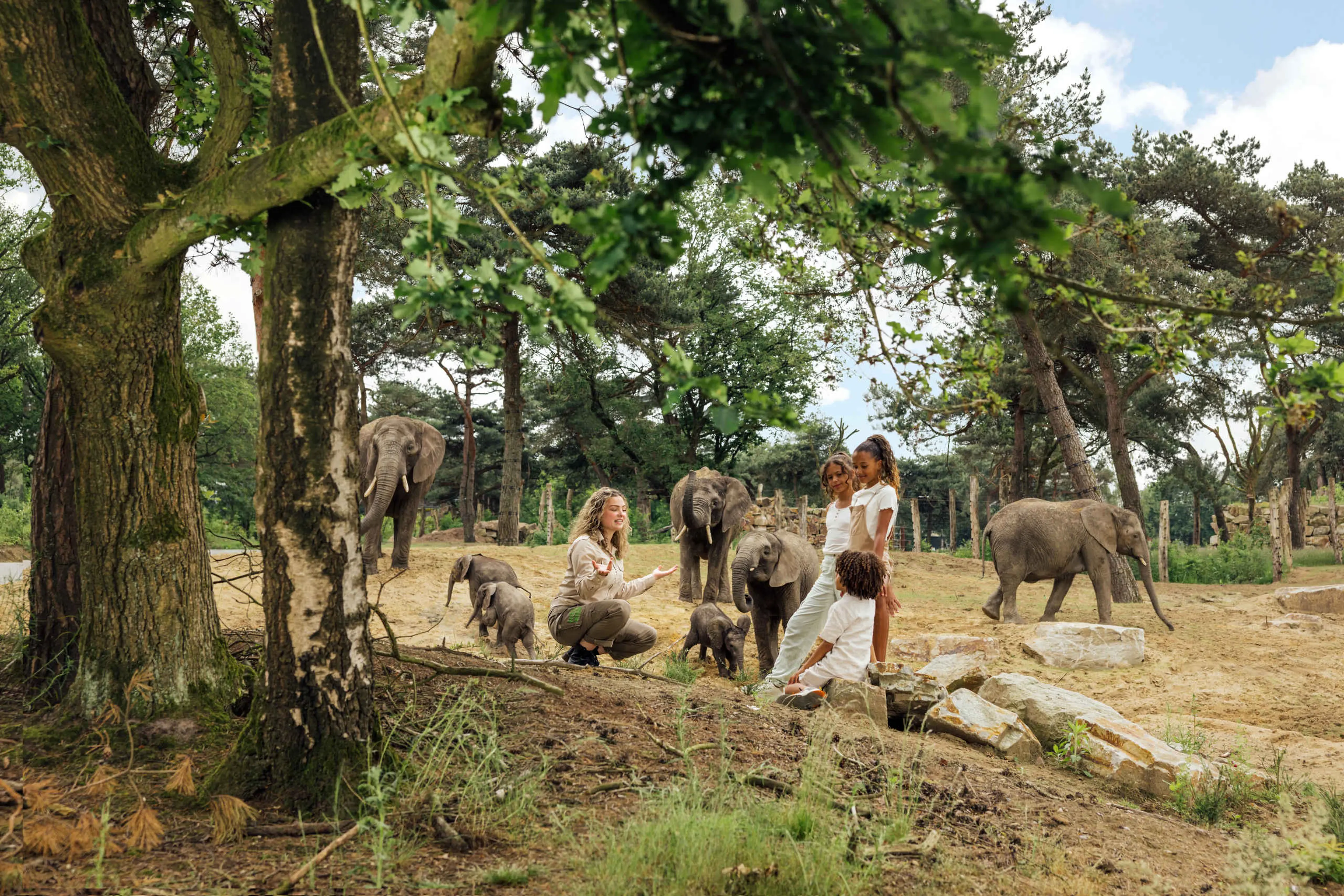 Ranger met kinderen bij de olifanten tijdens een Wild Walk door Beekse Bergen