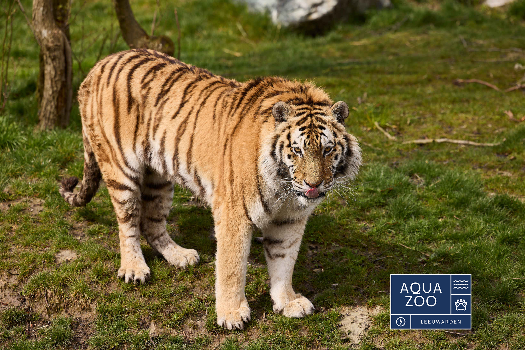 Meisje glijdt van waterglijbaan in Beekse Bergen Speelland