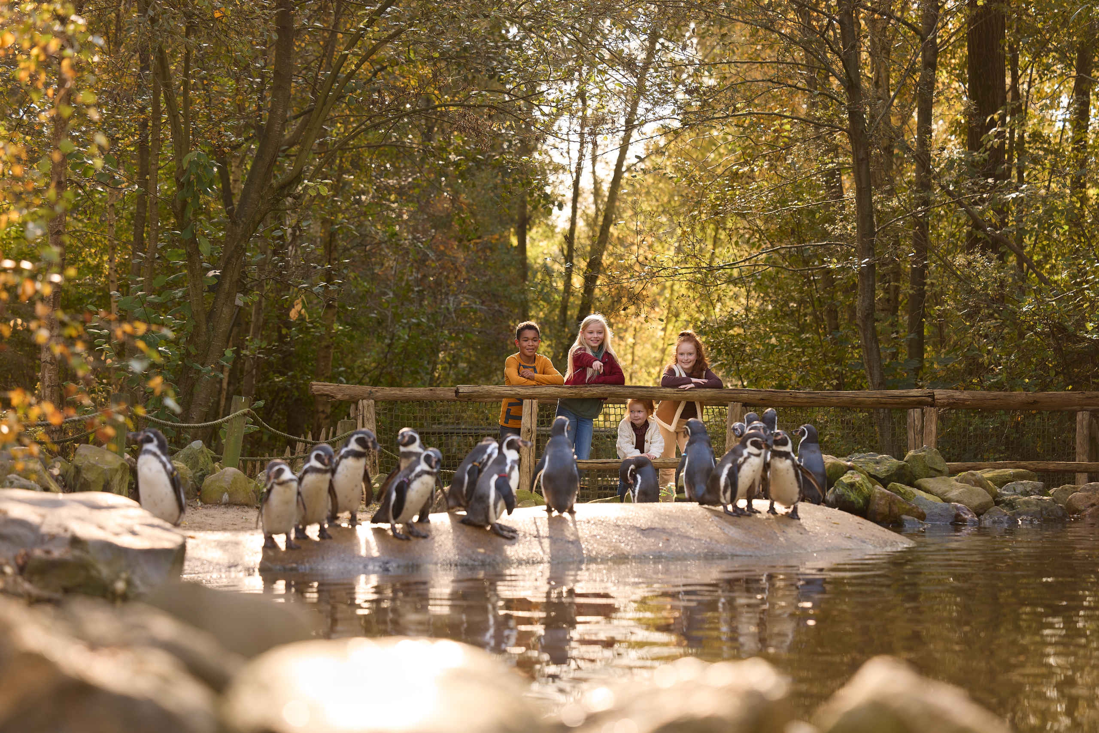 Kinderen kijken naar pinguins in AquaZoo Leeuwarden